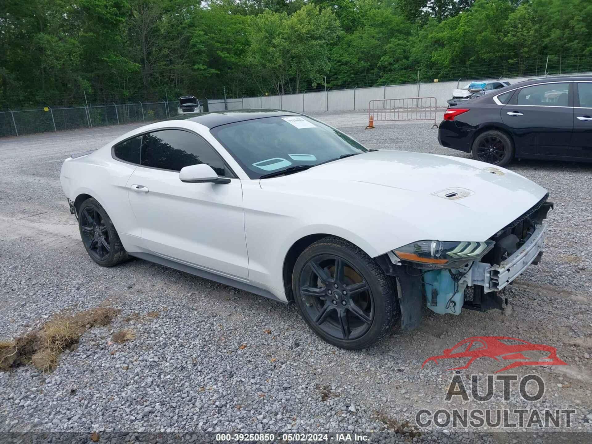 FORD MUSTANG 2019 - 1FA6P8TH9K5161884