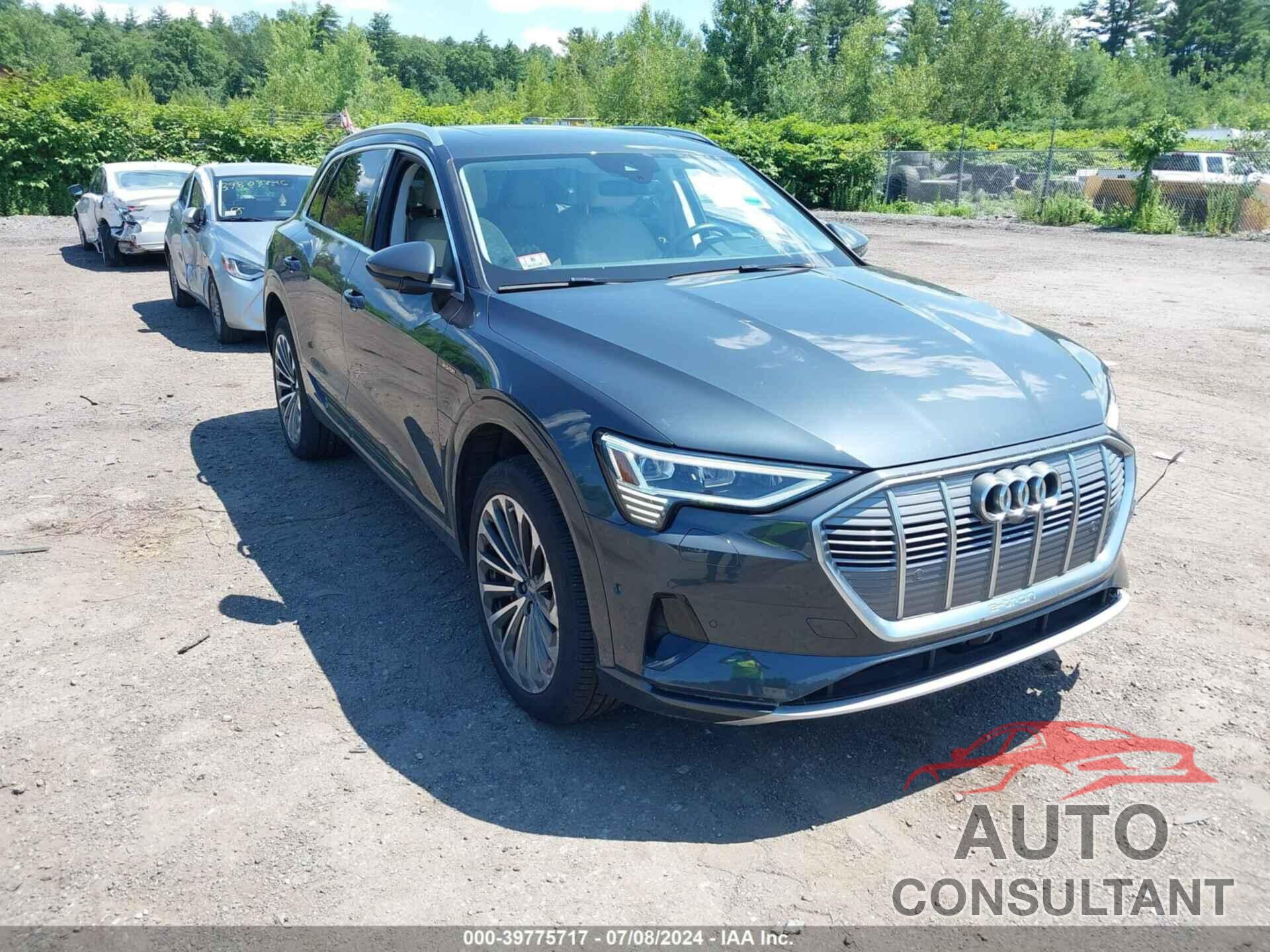 AUDI E-TRON 2019 - WA1VABGE7KB011059