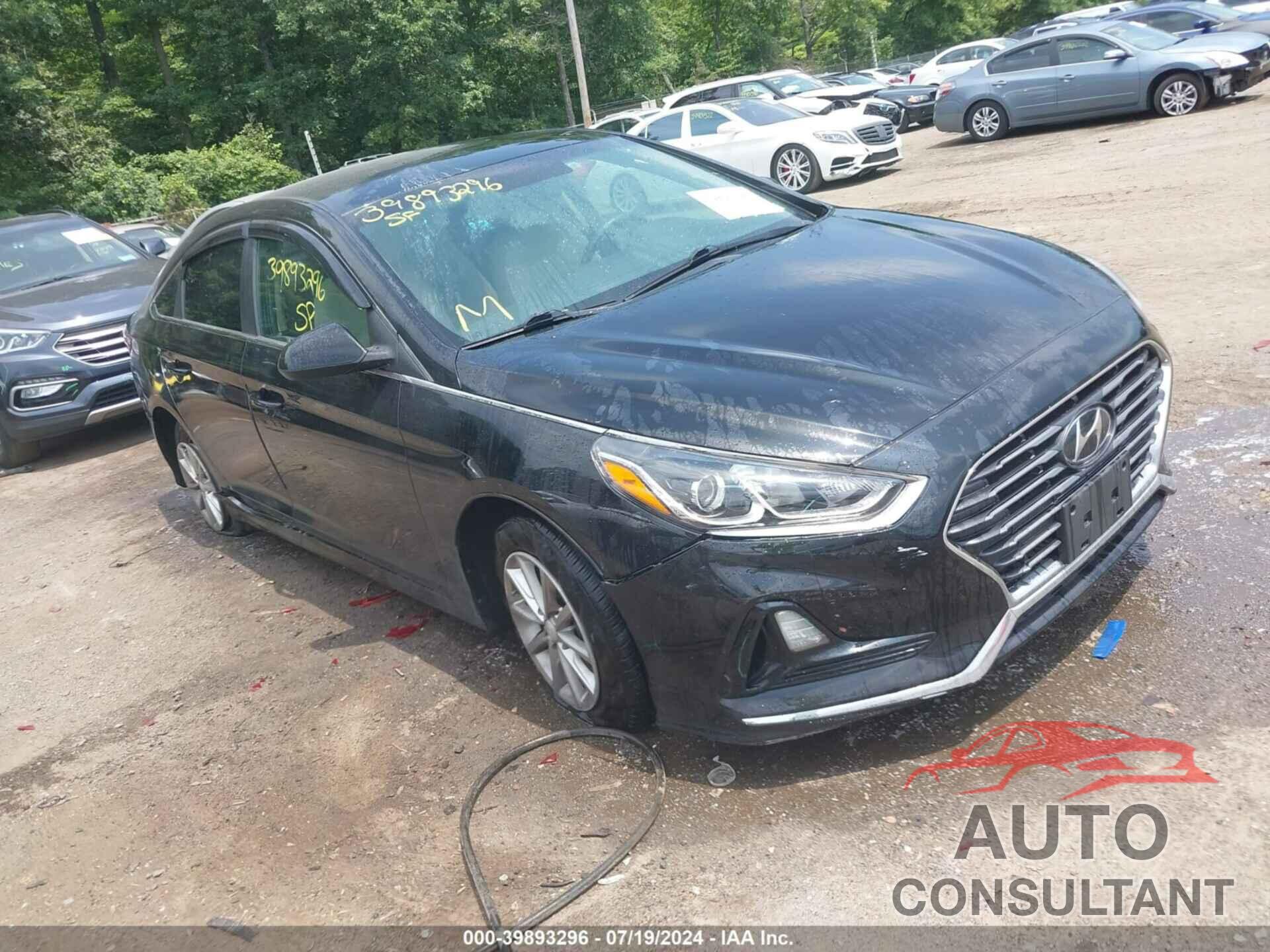 HYUNDAI SONATA 2019 - 5NPE24AF6KH756349