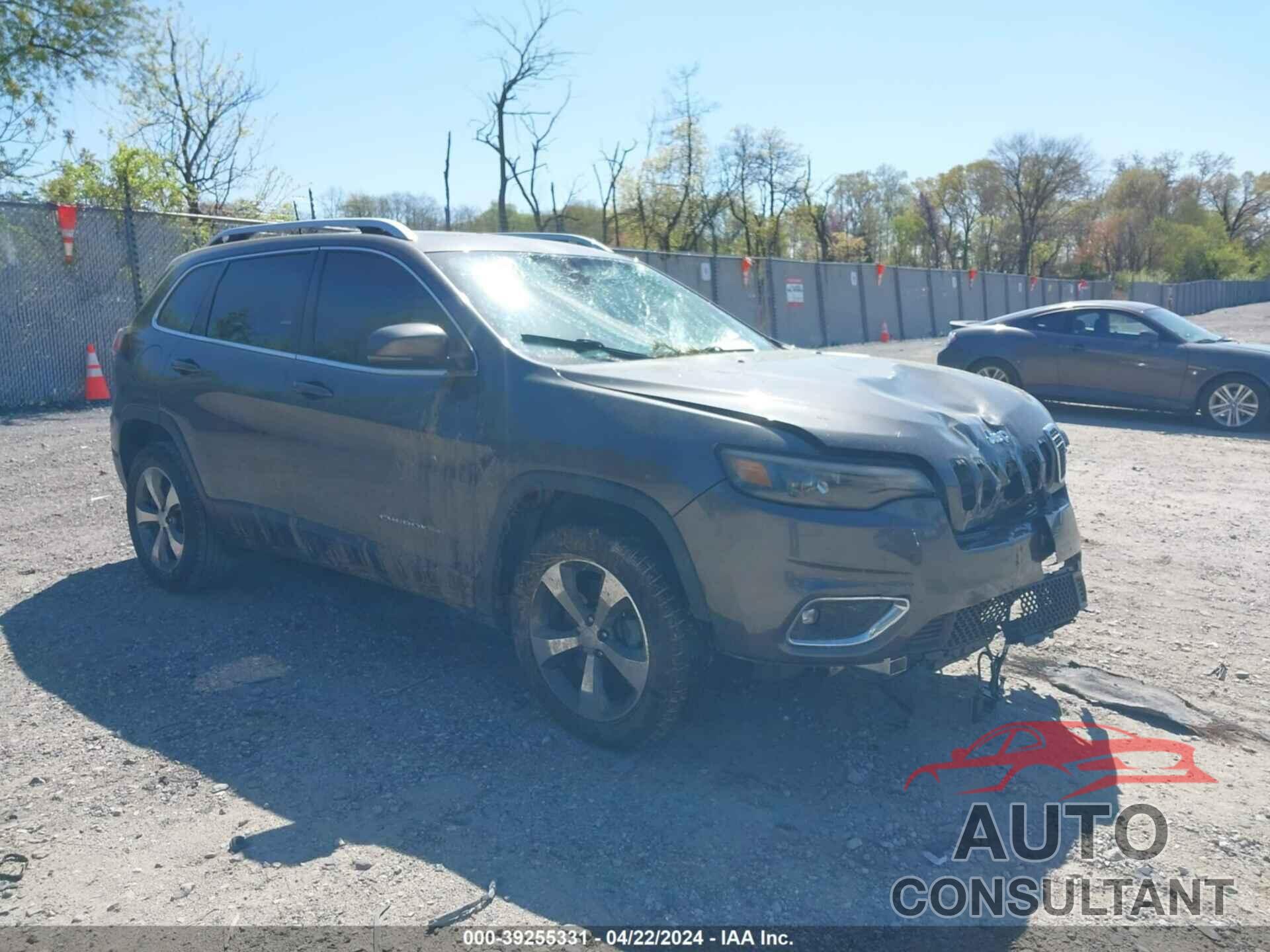 JEEP CHEROKEE 2019 - 1C4PJMDN9KD447379