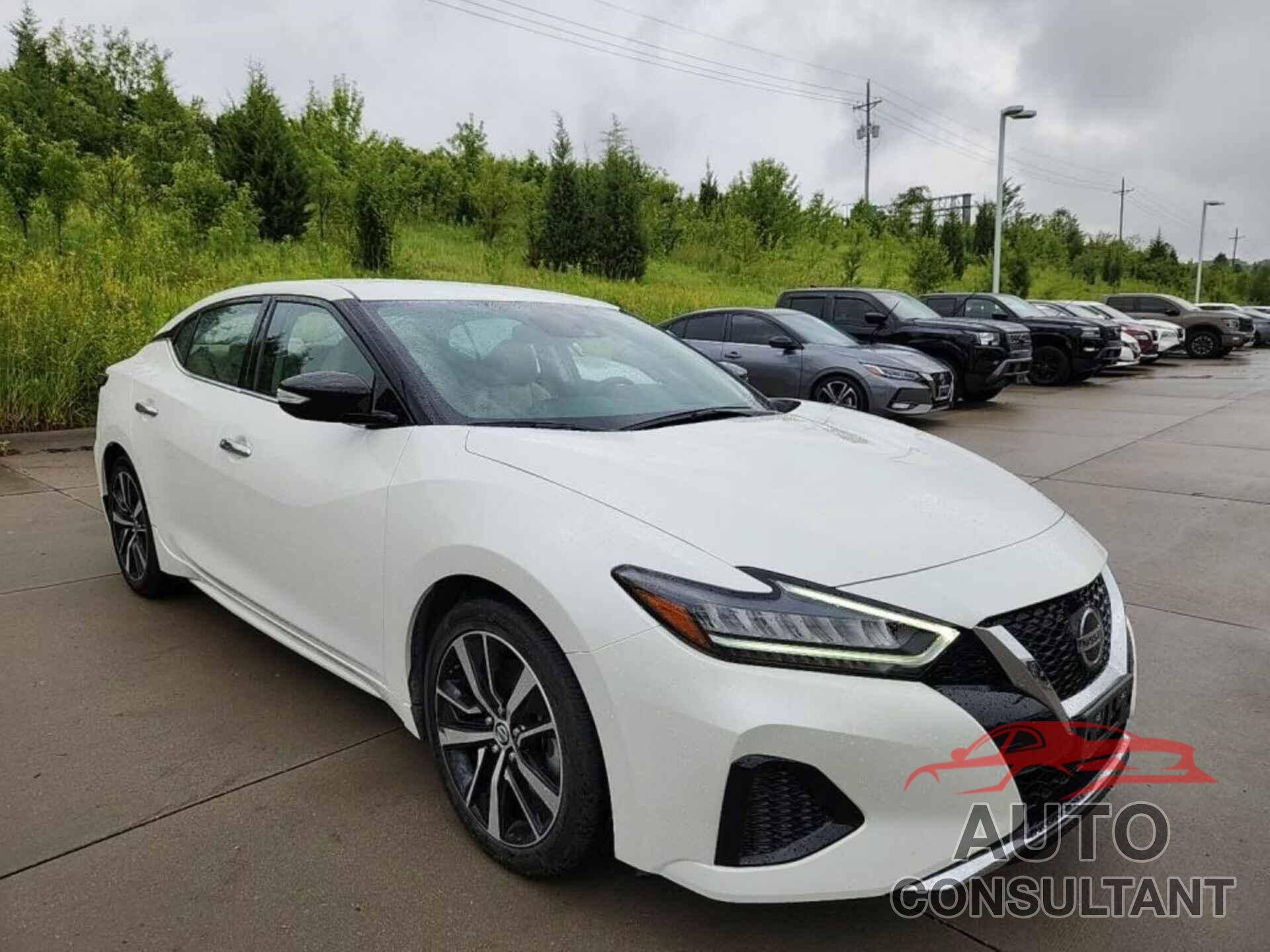 NISSAN MAXIMA 2022 - 1N4AA6CV9NC507731