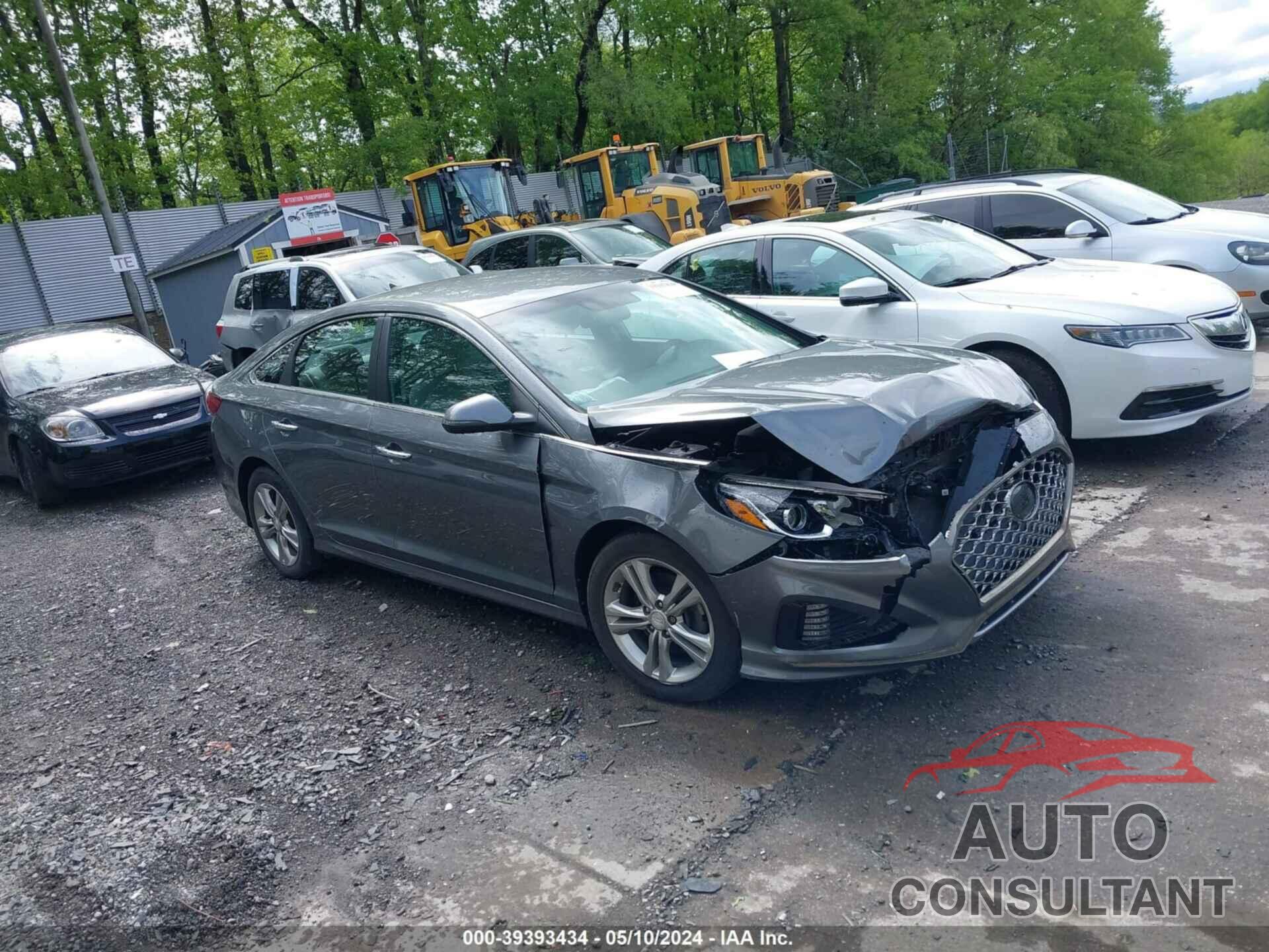 HYUNDAI SONATA 2019 - 5NPE34AF1KH789756