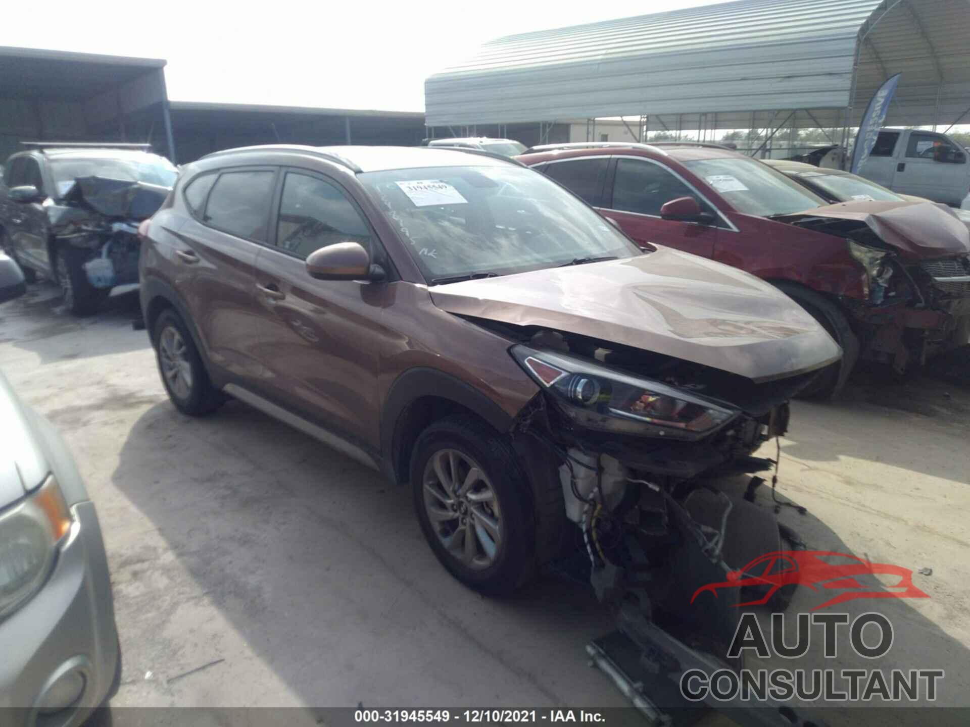 HYUNDAI TUCSON 2017 - KM8J33A40HU390385