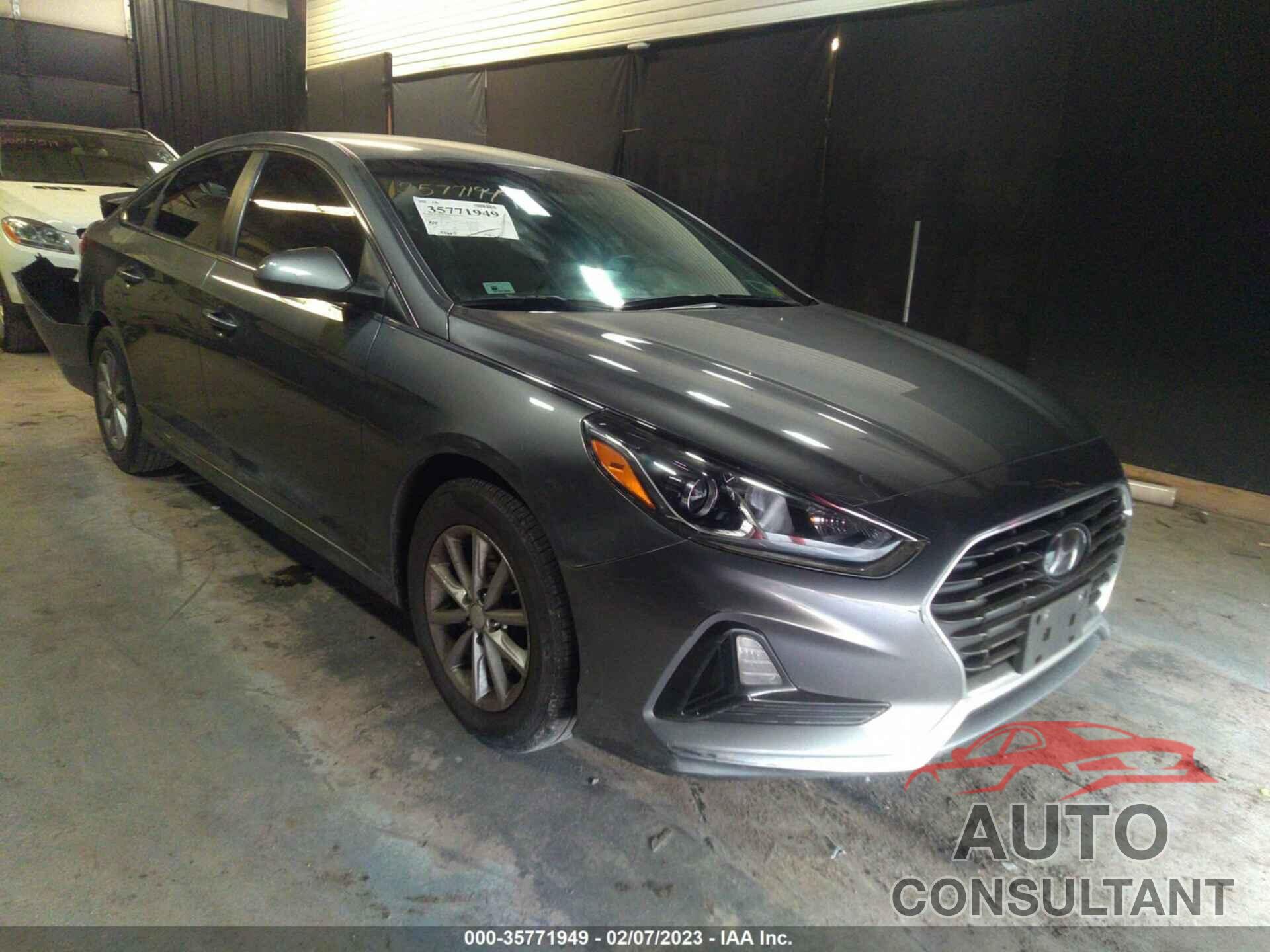 HYUNDAI SONATA 2019 - 5NPE24AF8KH794407