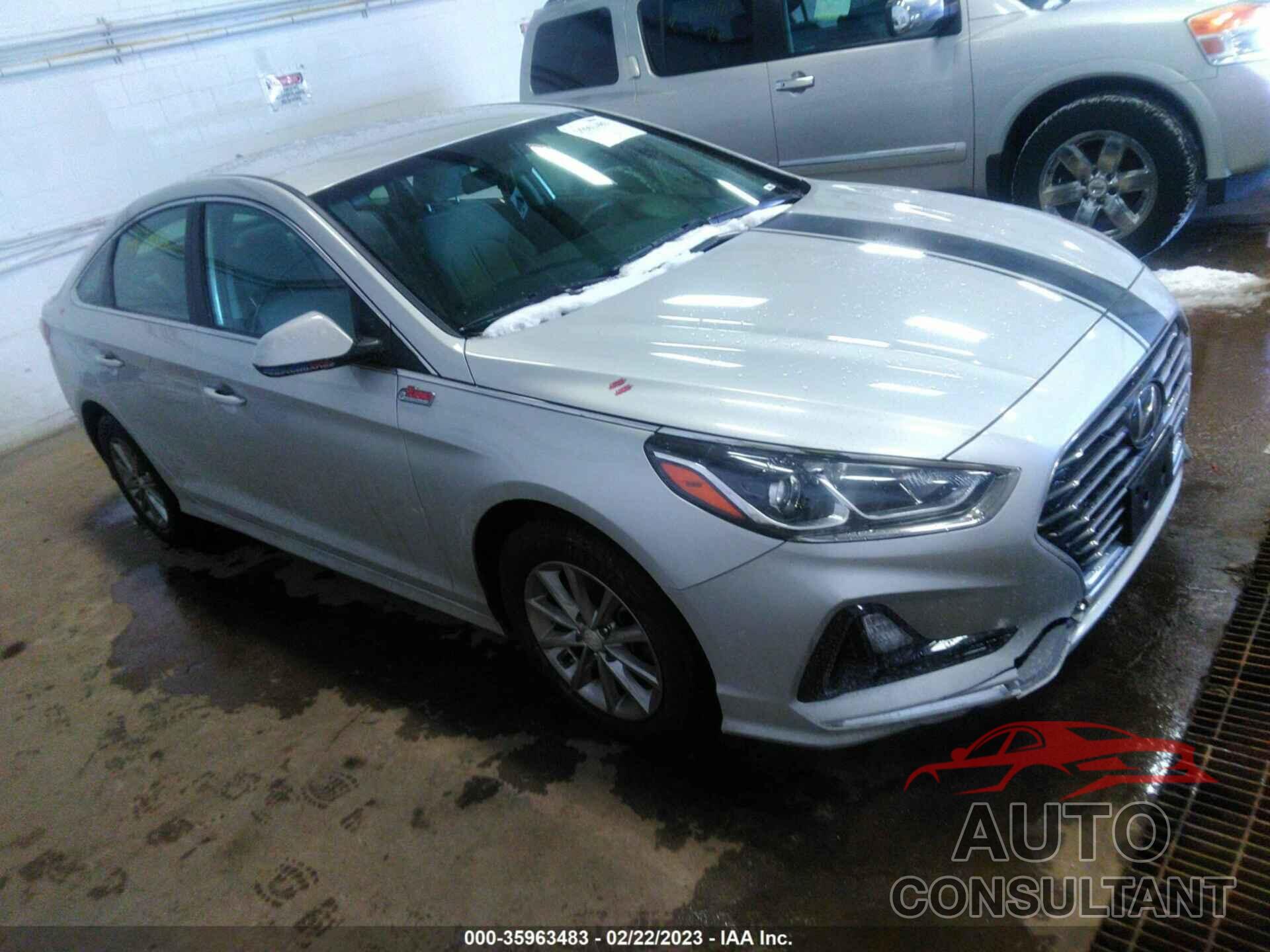 HYUNDAI SONATA 2019 - 5NPE24AF6KH756805