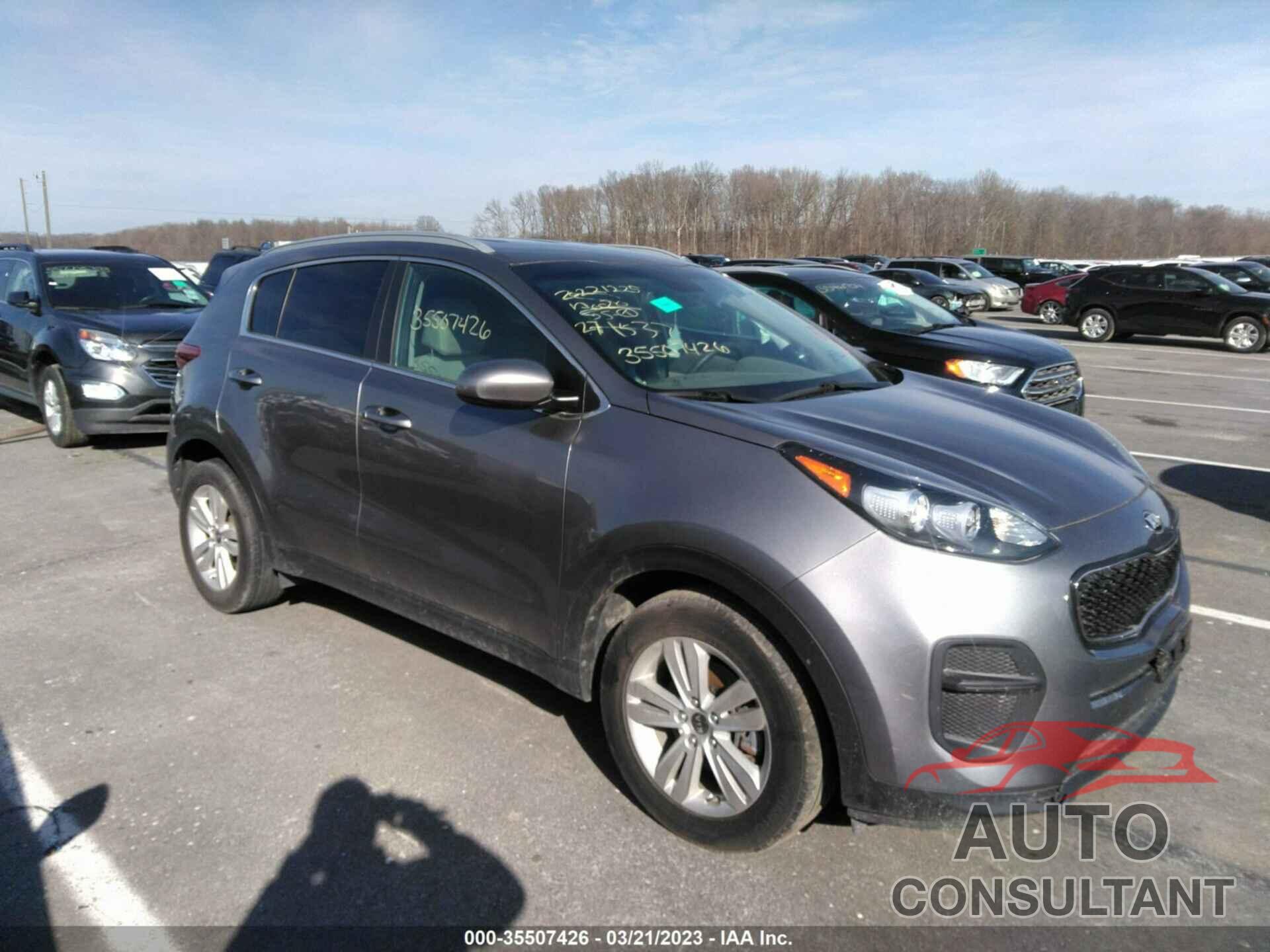 KIA SPORTAGE 2017 - KNDPM3AC3H7271537