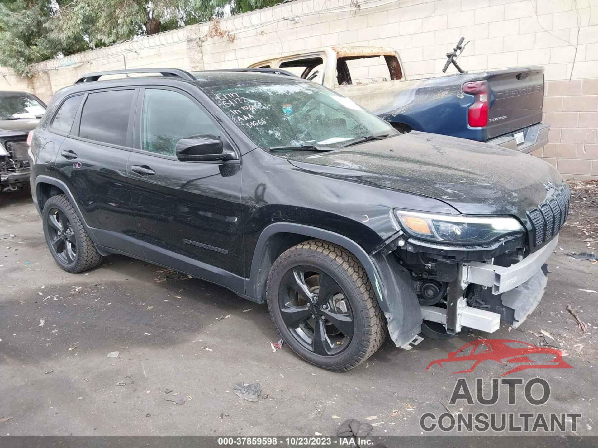 JEEP CHEROKEE 2019 - 1C4PJLLB1KD463190