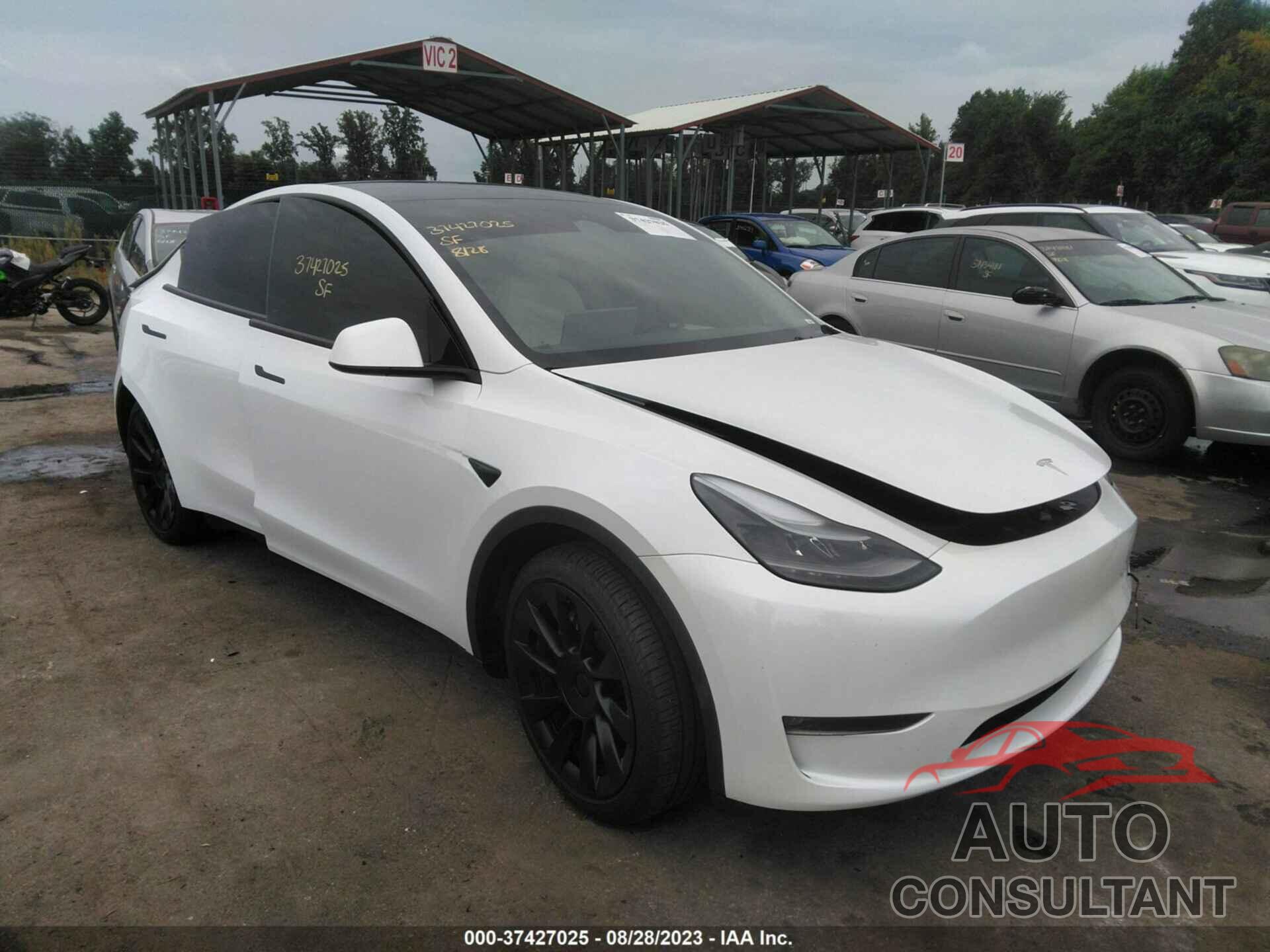 TESLA MODEL Y 2023 - 7SAYGAEE2PF646874