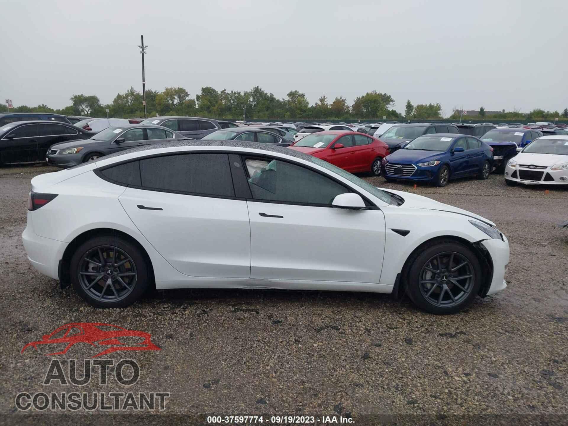 TESLA MODEL 3 2021 - 5YJ3E1EA3MF915213