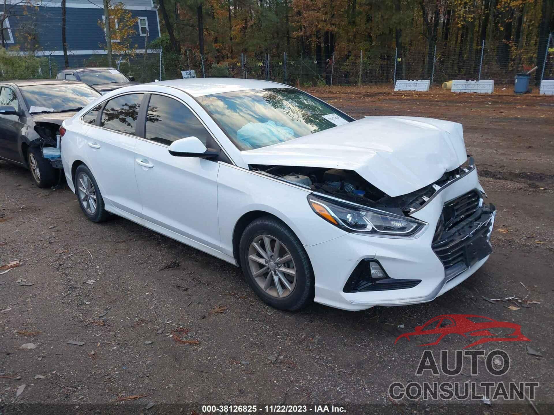 HYUNDAI SONATA 2019 - 5NPE24AFXKH729445