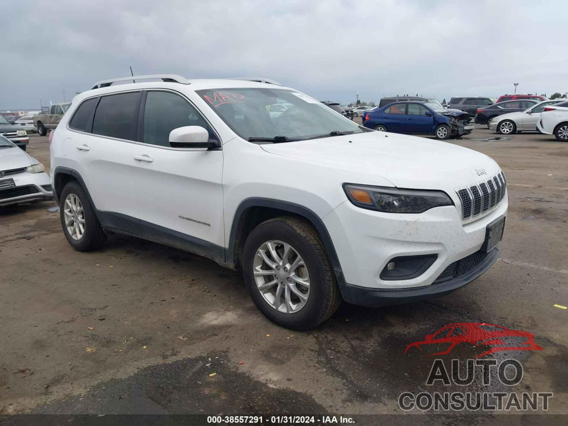 JEEP CHEROKEE 2019 - 1C4PJMCX4KD156291