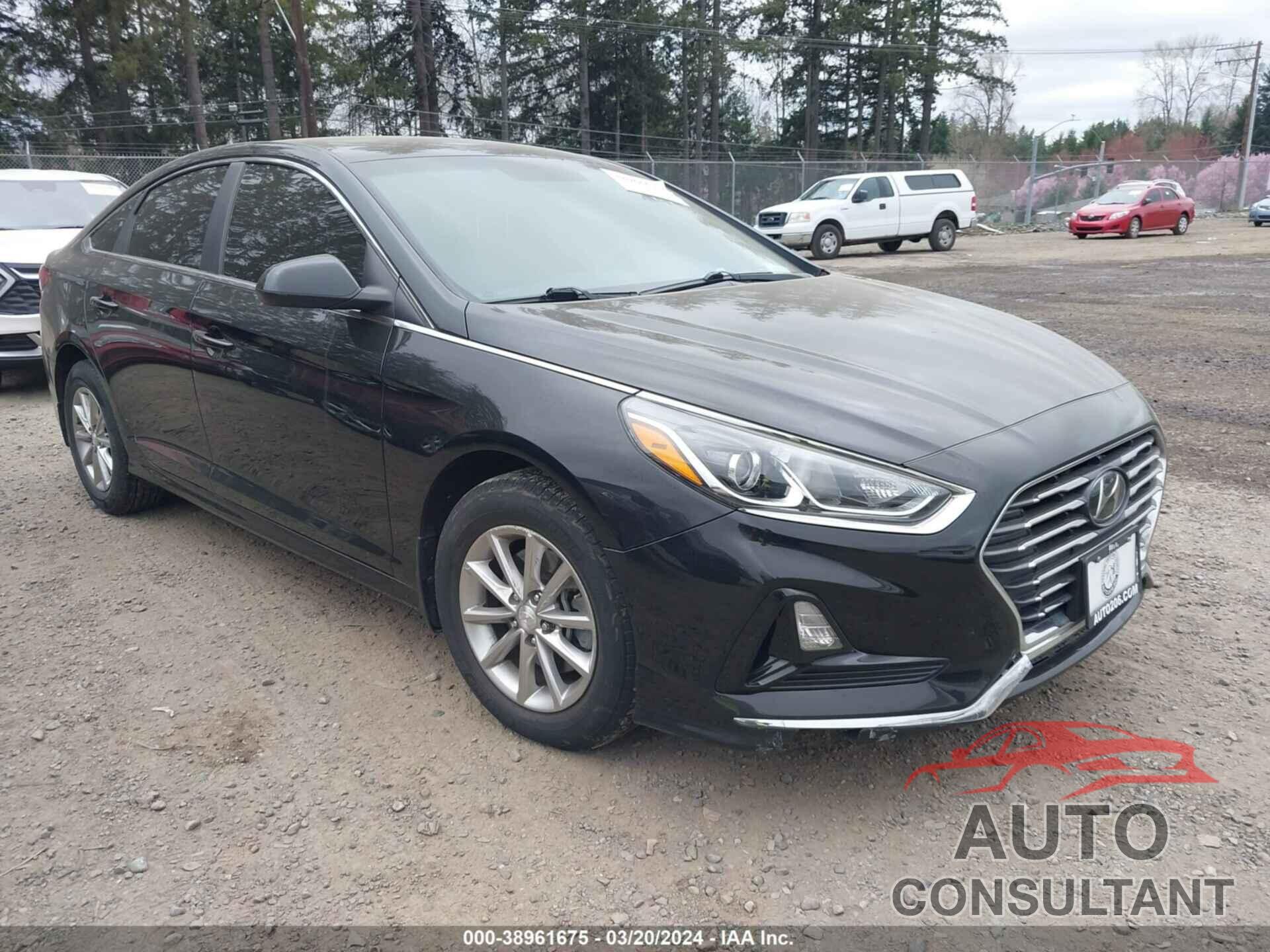 HYUNDAI SONATA 2019 - 5NPE24AF9KH736256