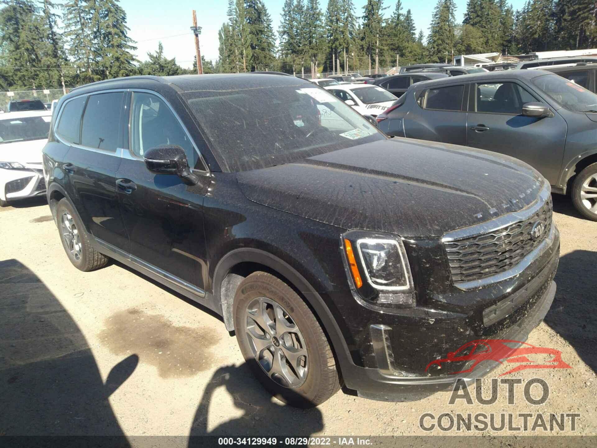 KIA TELLURIDE 2020 - 5XYP34HCXLG038572