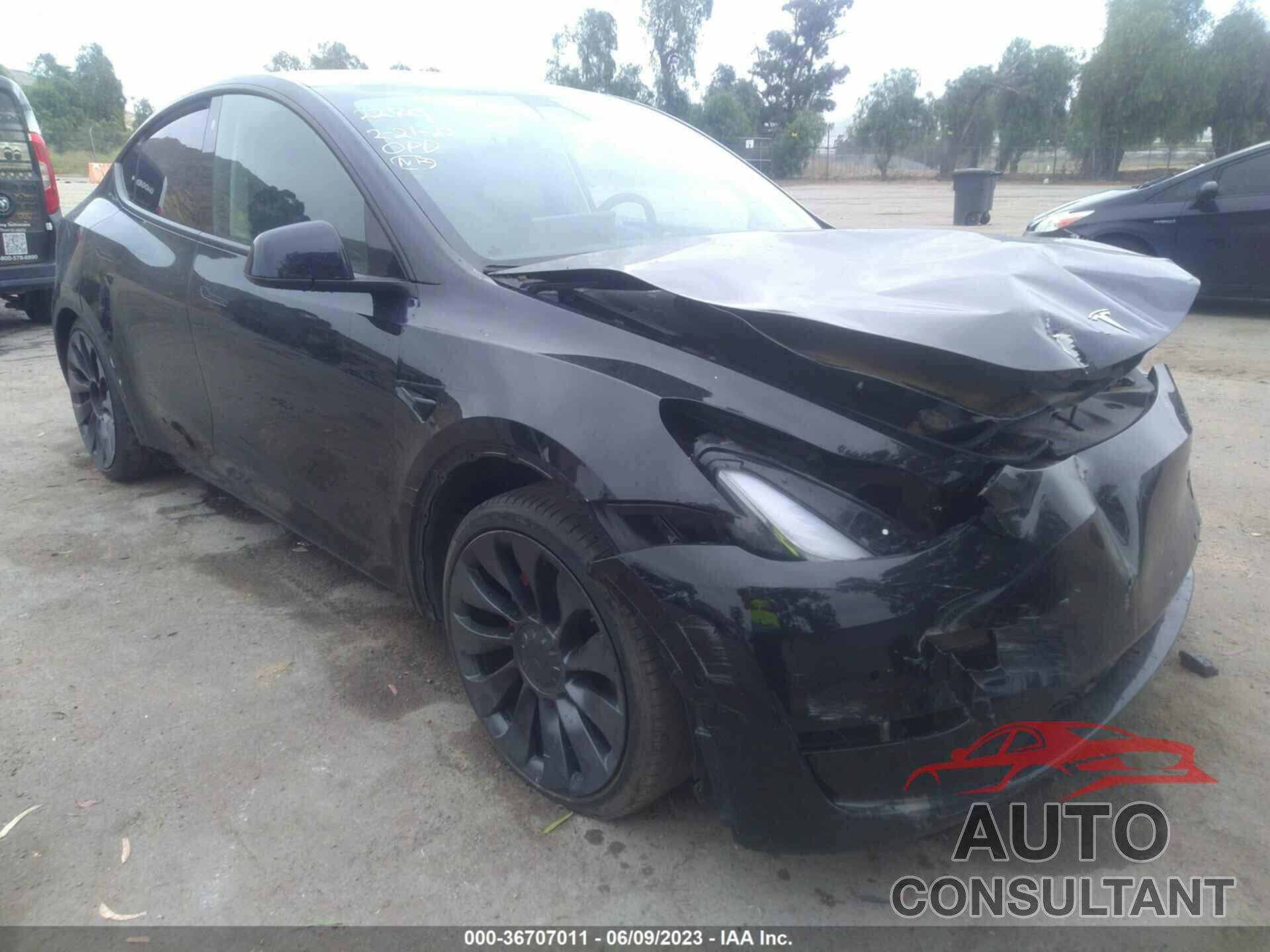 TESLA MODEL Y 2022 - 7SAYGDEF5NF382024