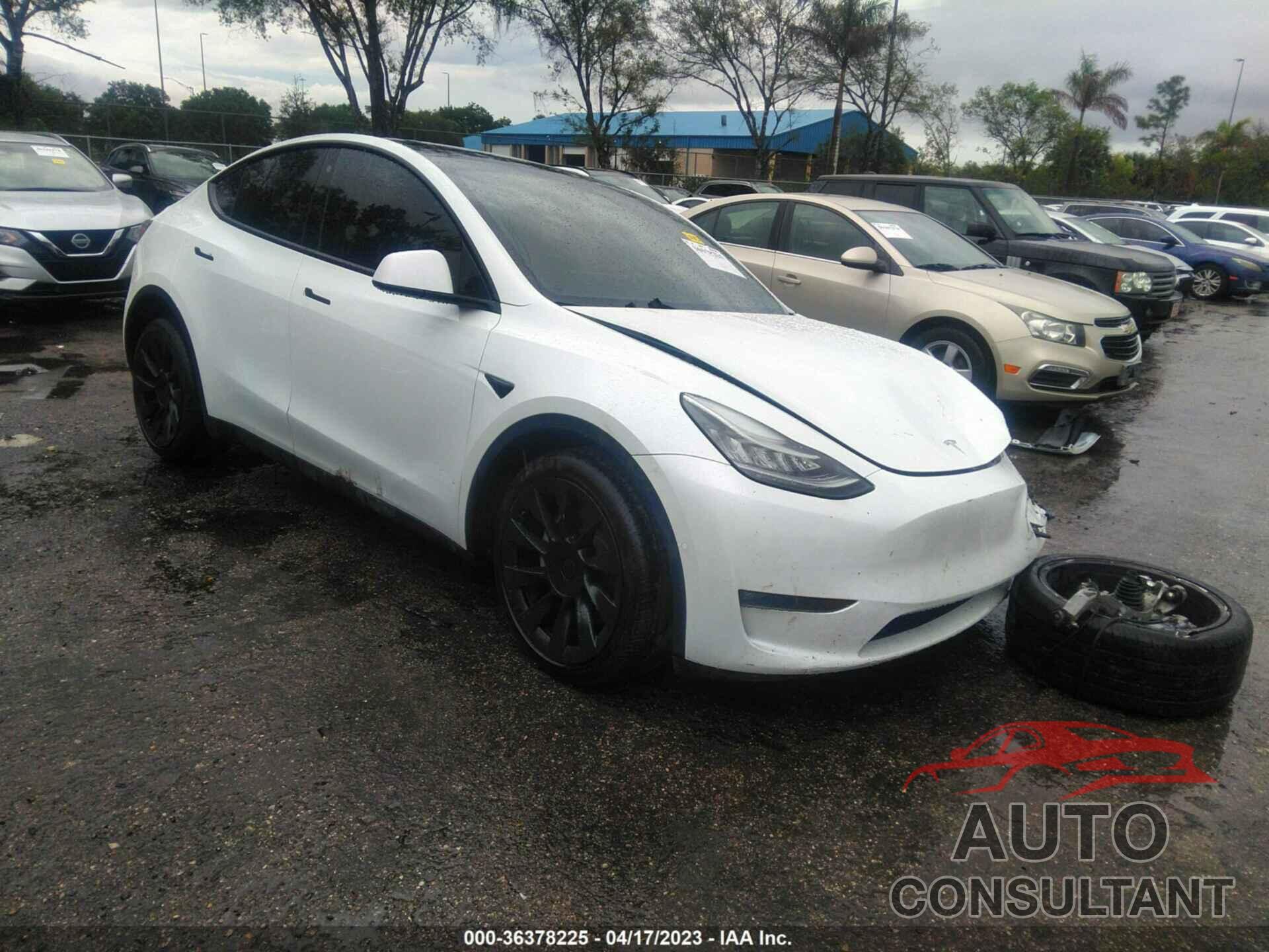 TESLA MODEL Y 2022 - 7SAYGDEE2NF311144