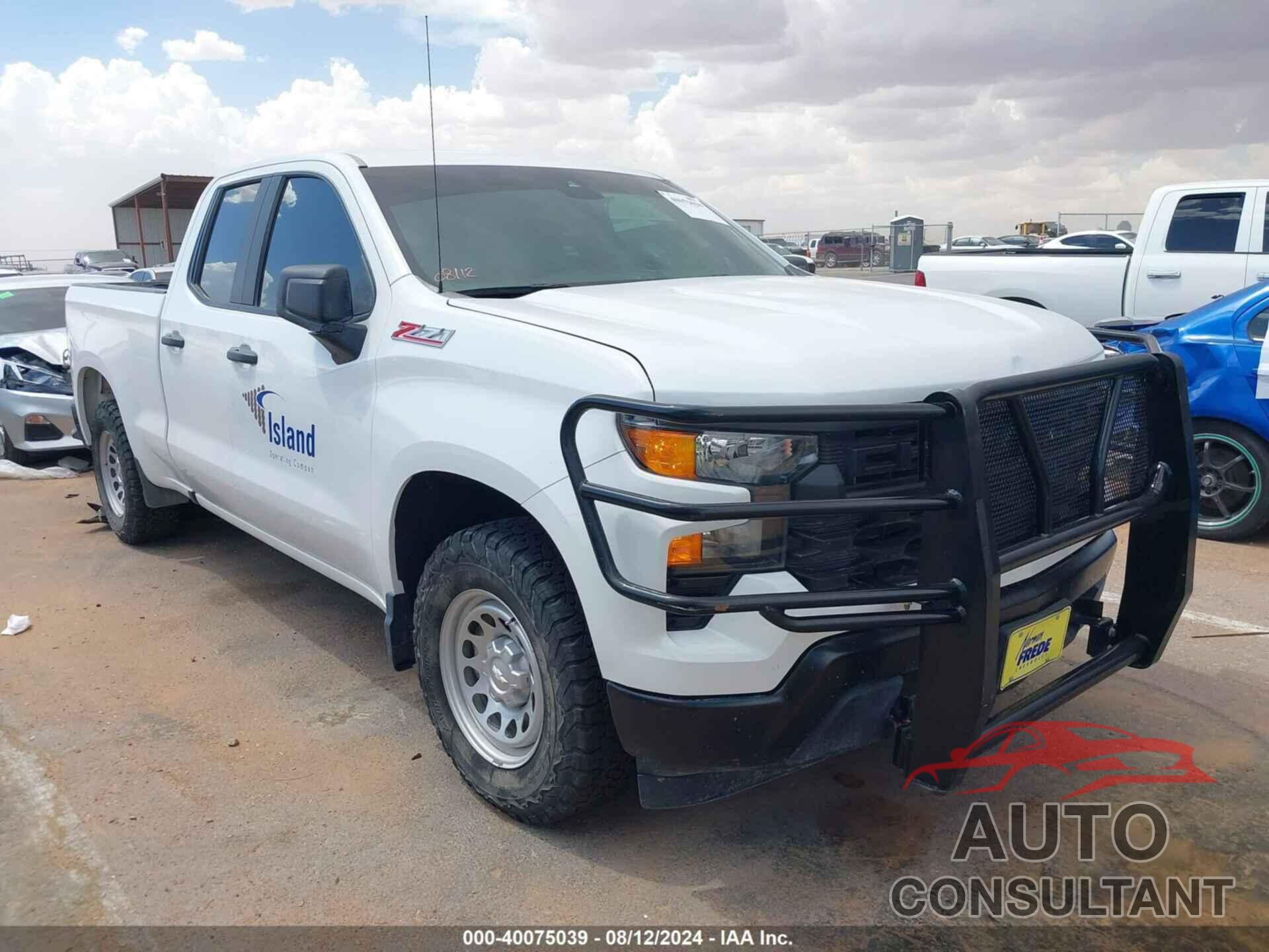 CHEVROLET SILVERADO 1500 2022 - 1GCRDAED9NZ528300