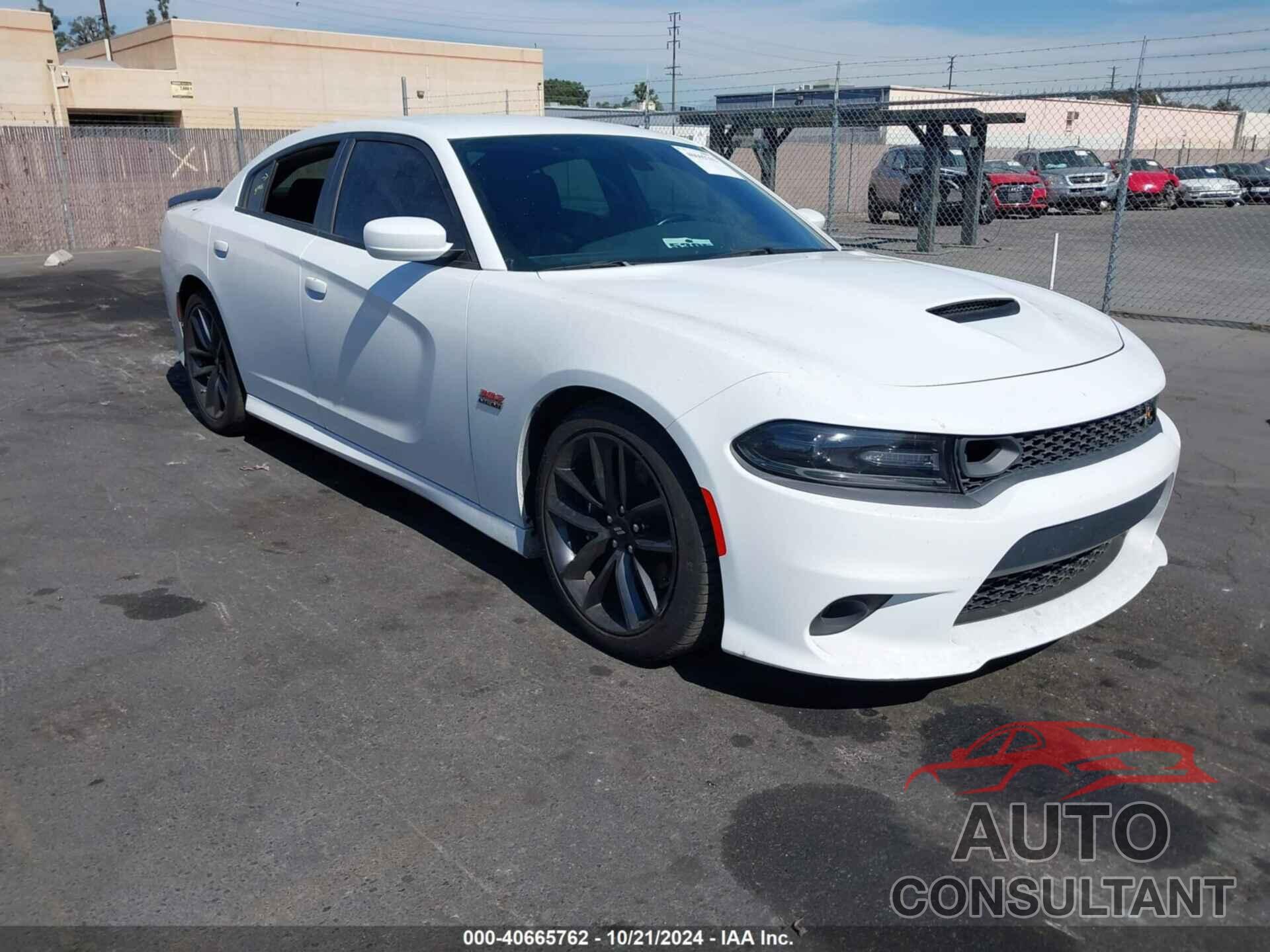 DODGE CHARGER 2019 - 2C3CDXGJ0KH635635