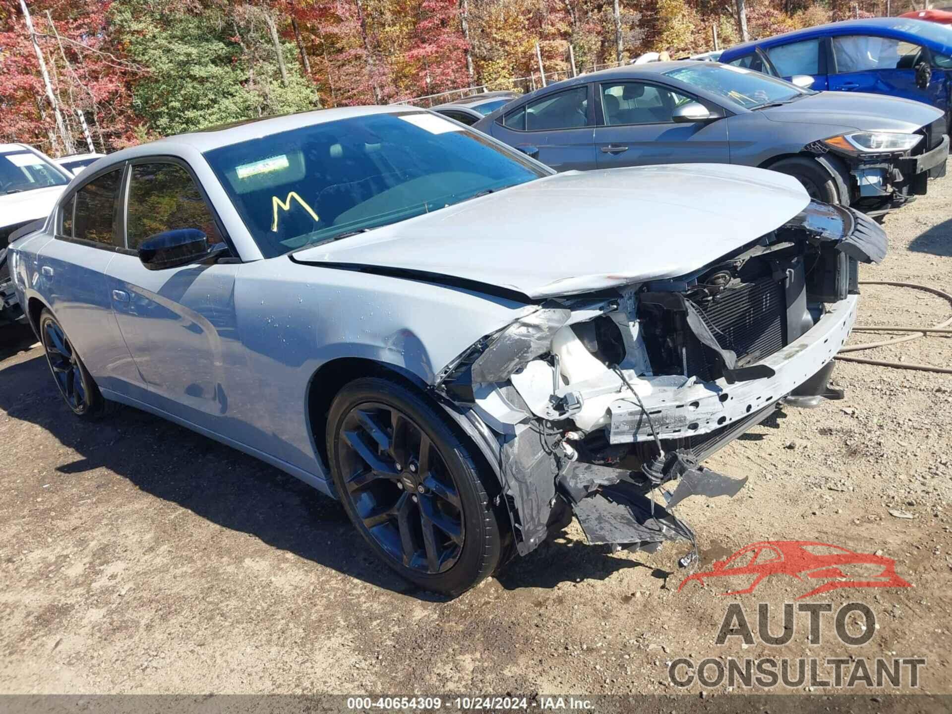 DODGE CHARGER 2021 - 2C3CDXBGXMH591948