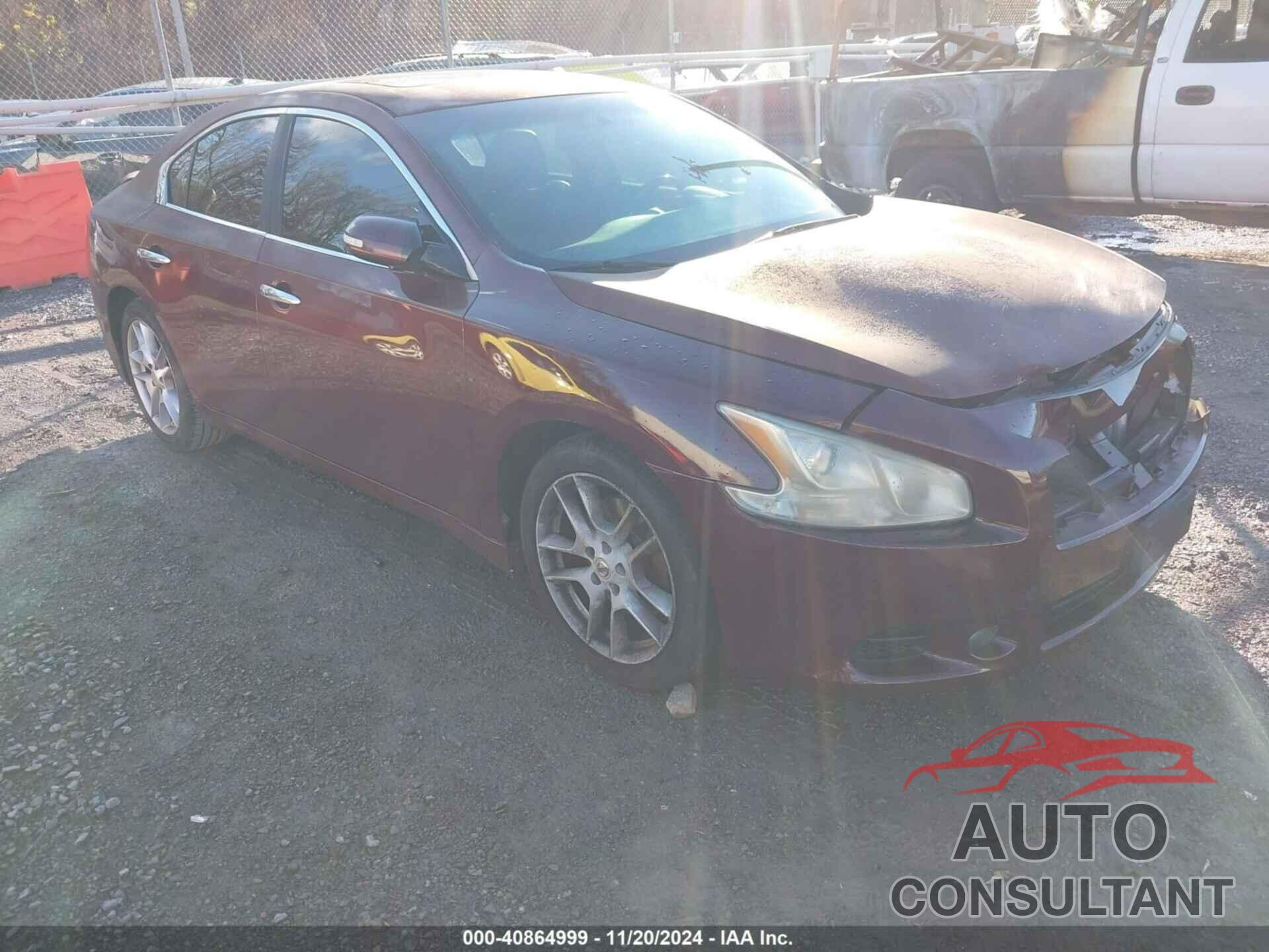 NISSAN MAXIMA 2010 - 1N4AA5AP9AC812980