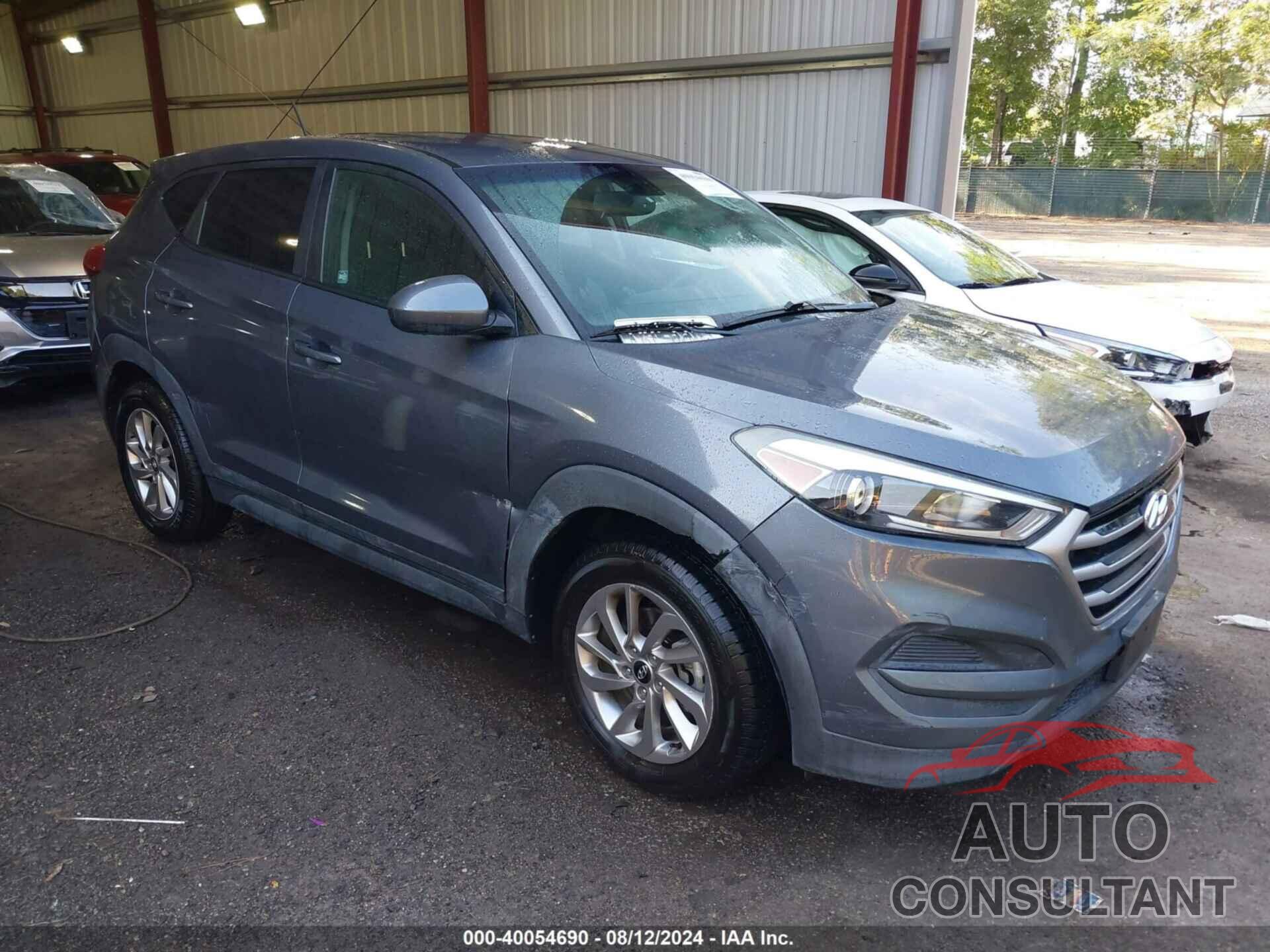 HYUNDAI TUCSON 2017 - KM8J23A46HU290472