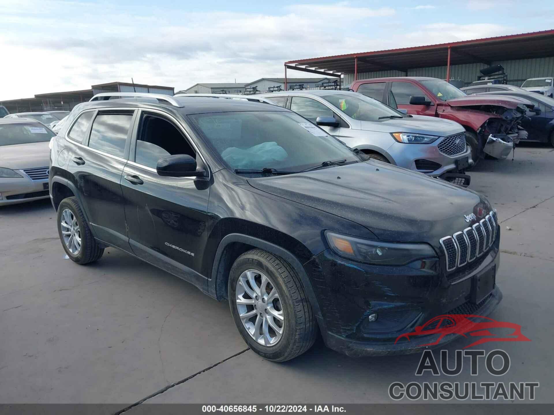 JEEP CHEROKEE 2019 - 1C4PJLCB0KD357362
