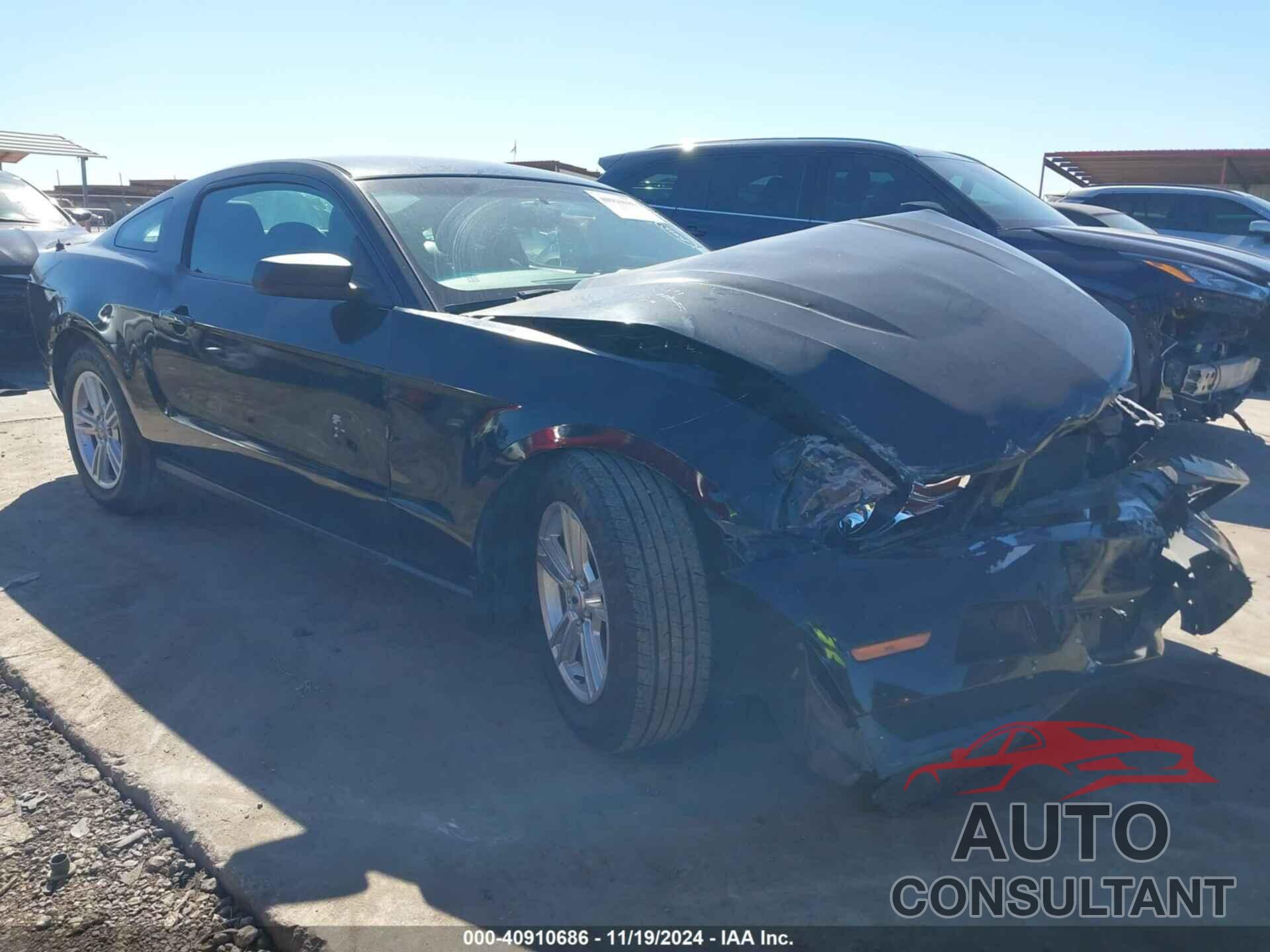 FORD MUSTANG 2011 - 1ZVBP8AM6B5169821