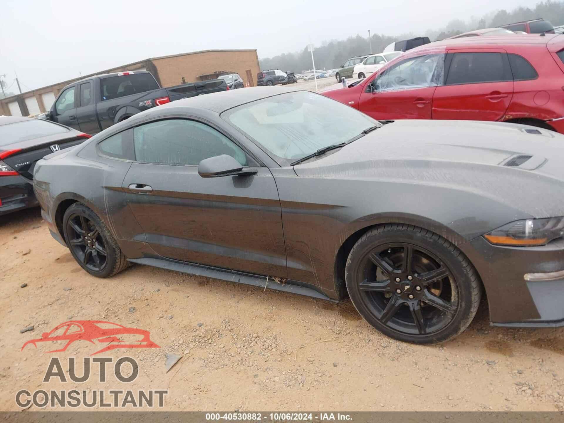 FORD MUSTANG 2019 - 1FA6P8TH8K5103541