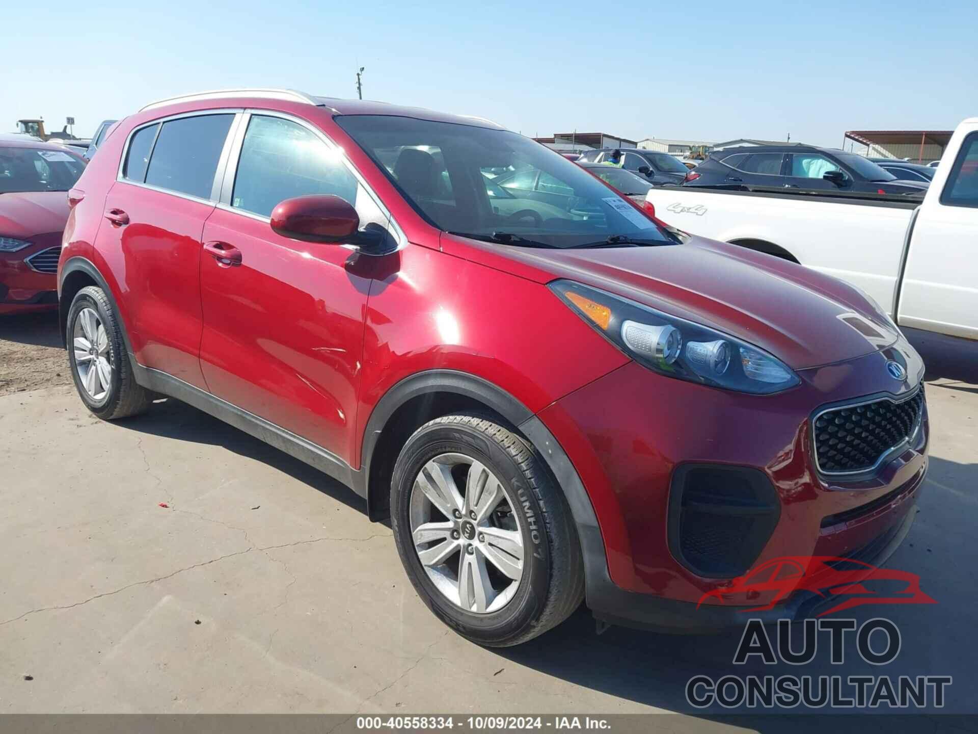 KIA SPORTAGE 2019 - KNDPM3AC1K7560407