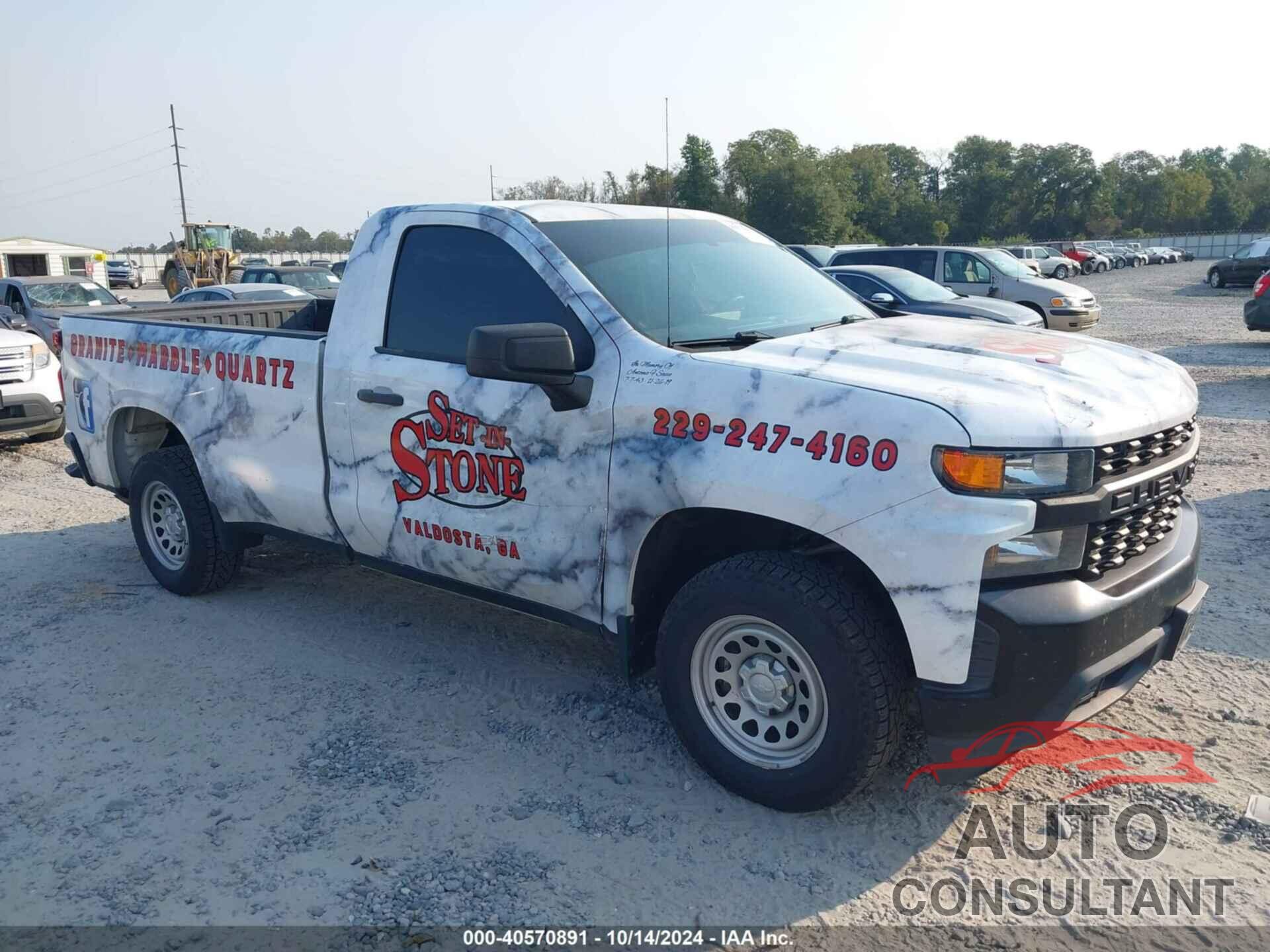 CHEVROLET SILVERADO 2019 - 3GCNWAEH1KG305501