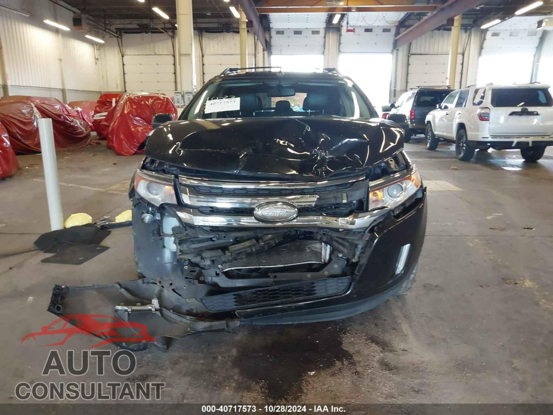 FORD EDGE 2013 - 2FMDK4KC2DBC22890