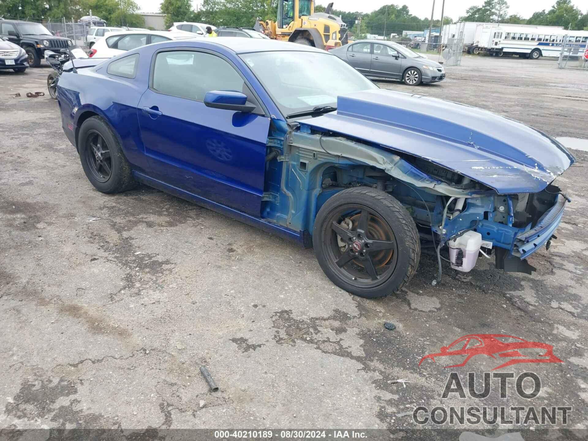 FORD MUSTANG 2014 - 1ZVBP8CF6E5283319