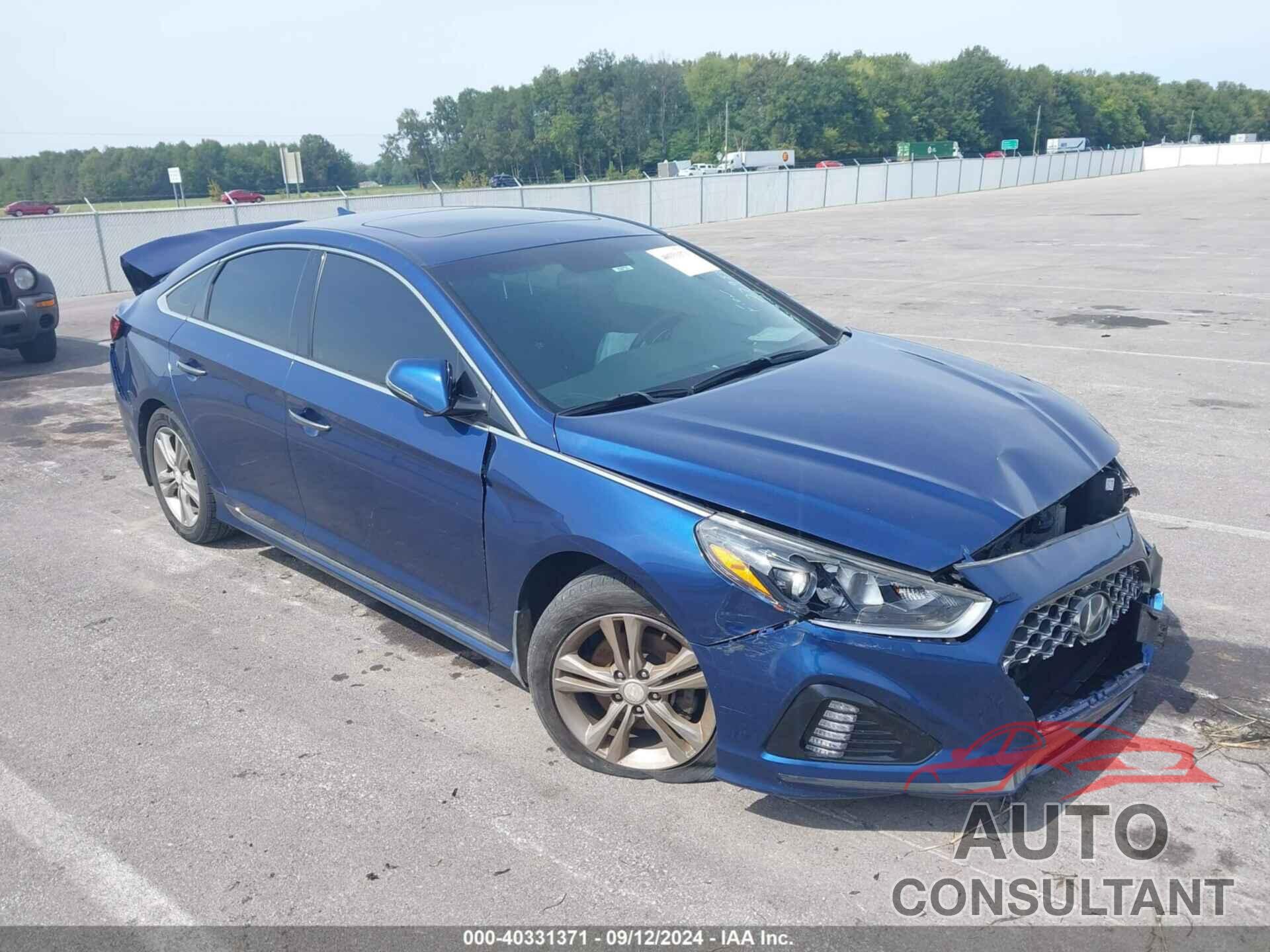 HYUNDAI SONATA 2019 - 5NPE34AF0KH778456