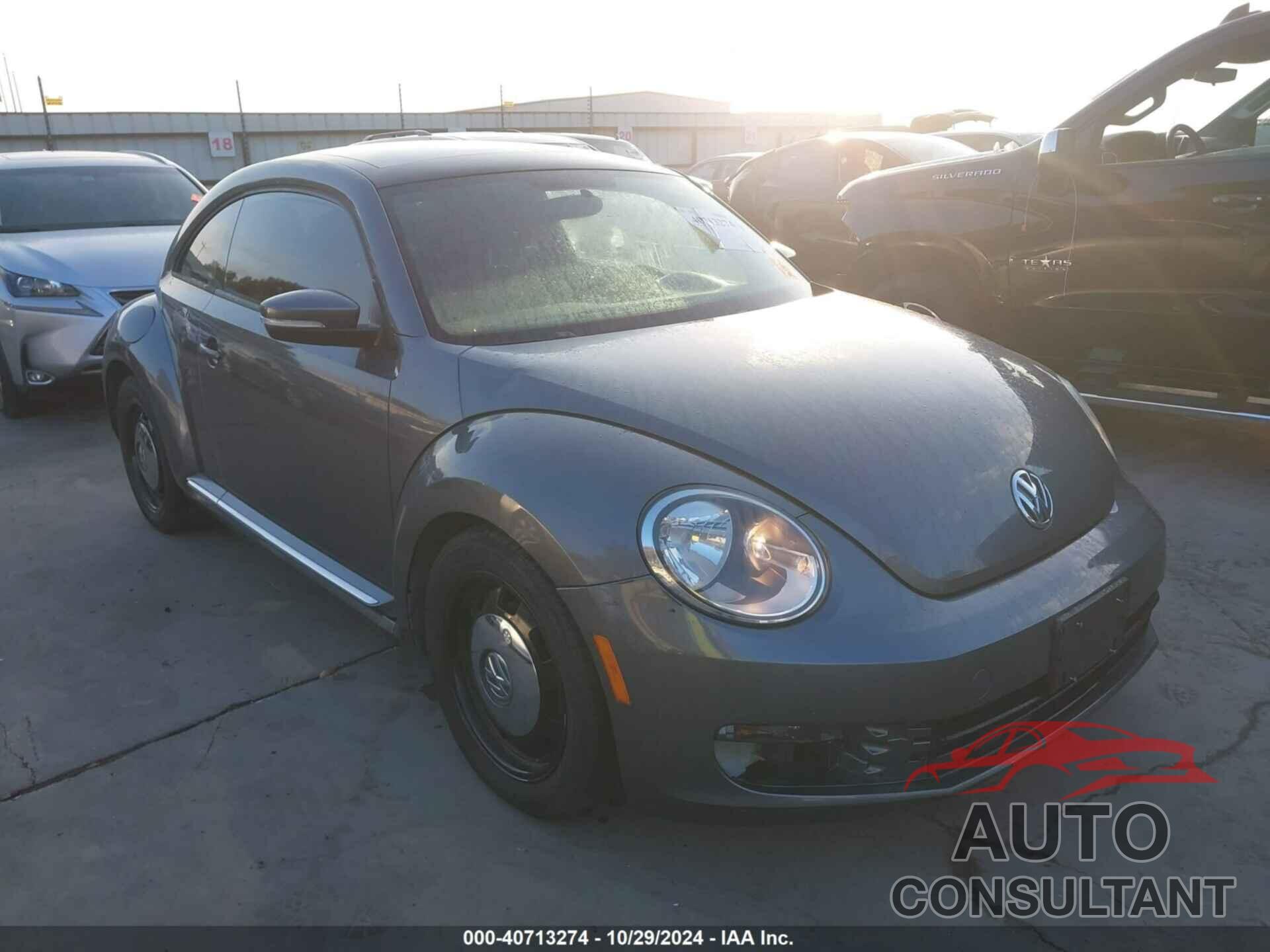 VOLKSWAGEN BEETLE 2013 - 3VWJX7AT2DM673261