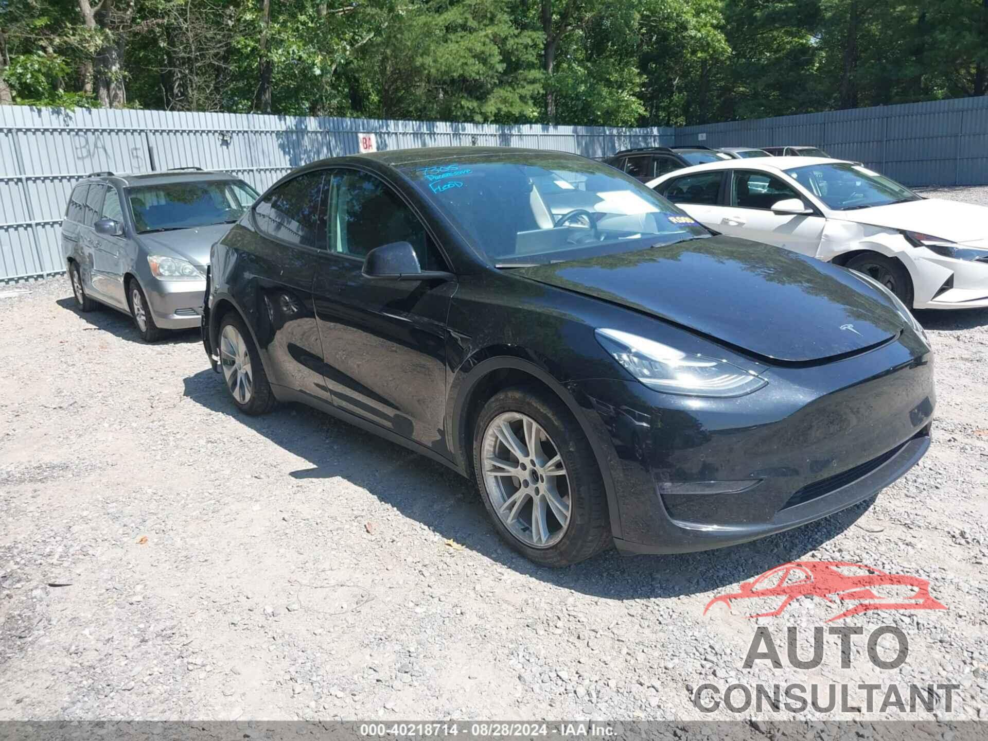 TESLA MODEL Y 2022 - 7SAYGDEE5NF372875