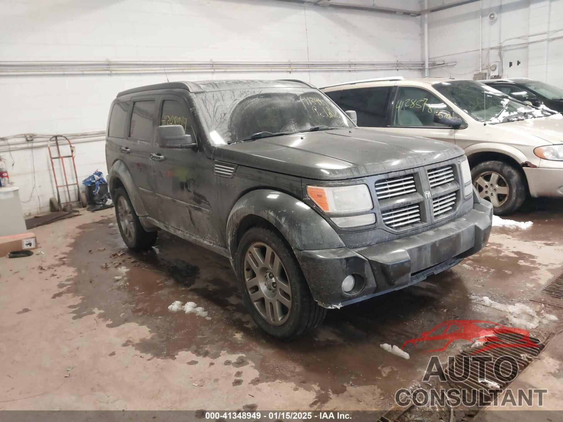 DODGE NITRO 2011 - 1D4PU4GX1BW513158