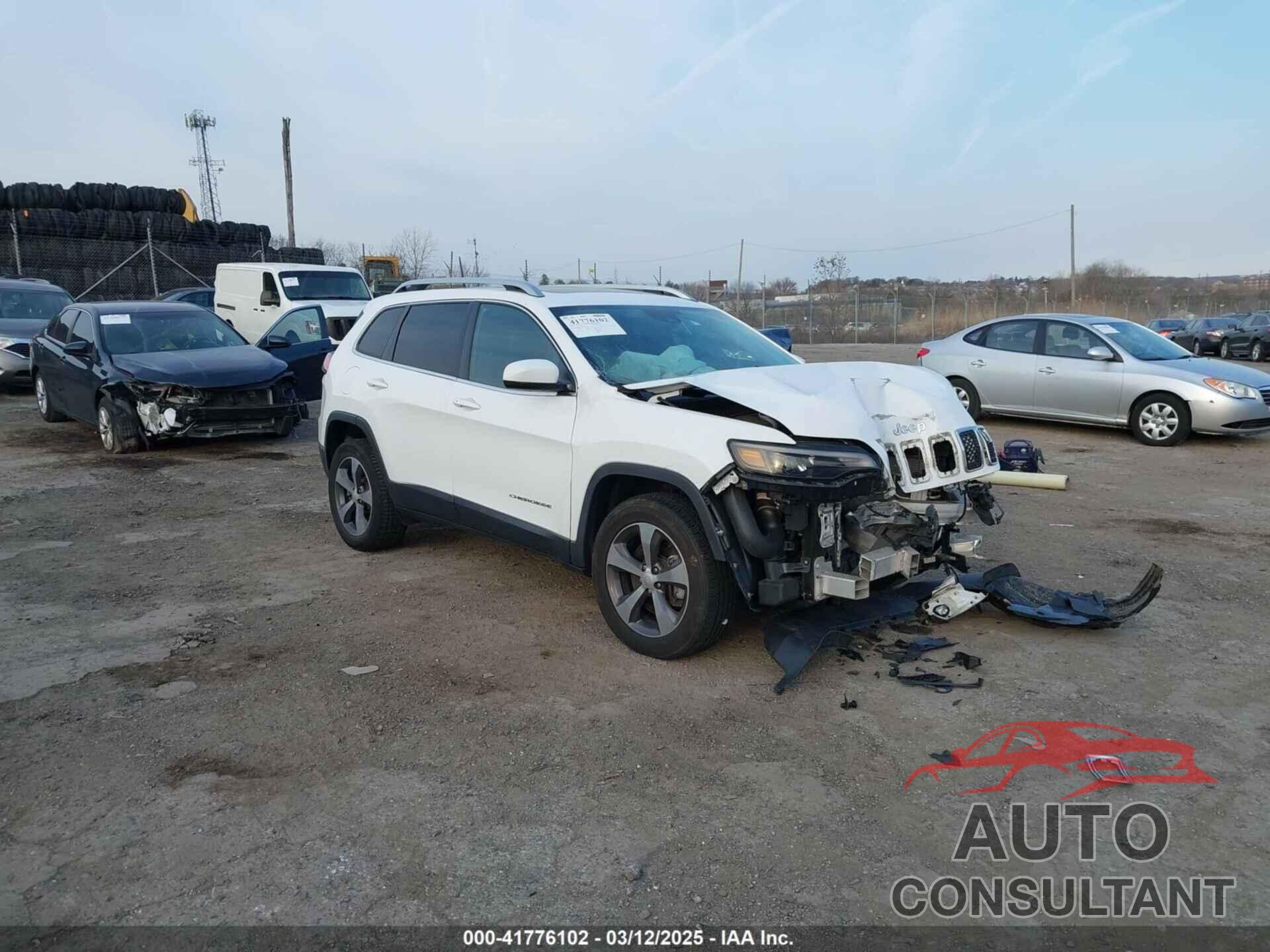 JEEP CHEROKEE 2019 - 1C4PJMDX4KD382829