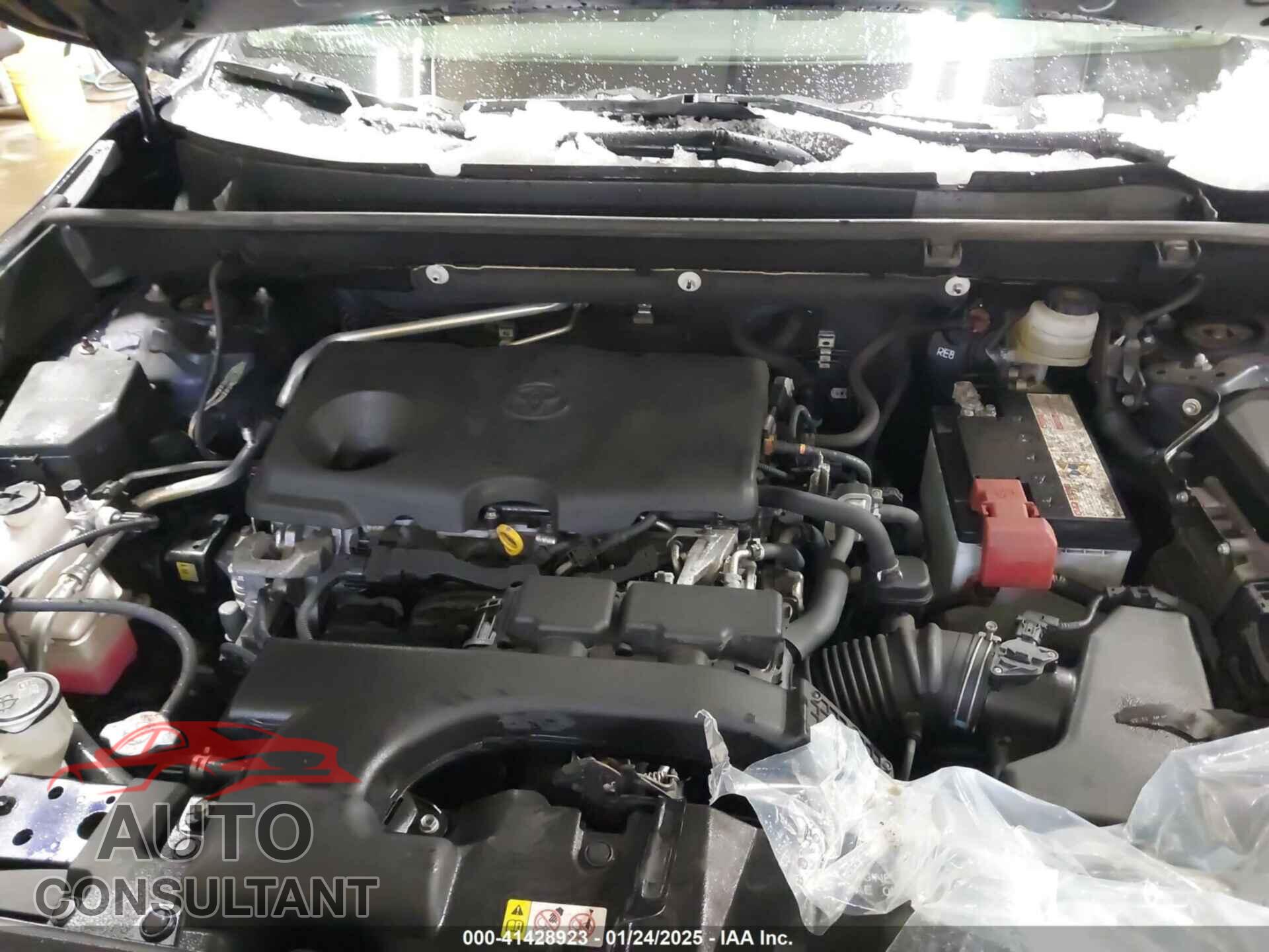 TOYOTA RAV4 2019 - JTMP1RFV8KJ019685