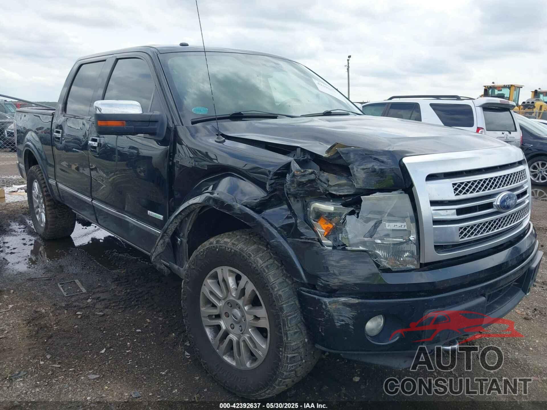 FORD F-150 2014 - 1FTFX1ET9EFB60061
