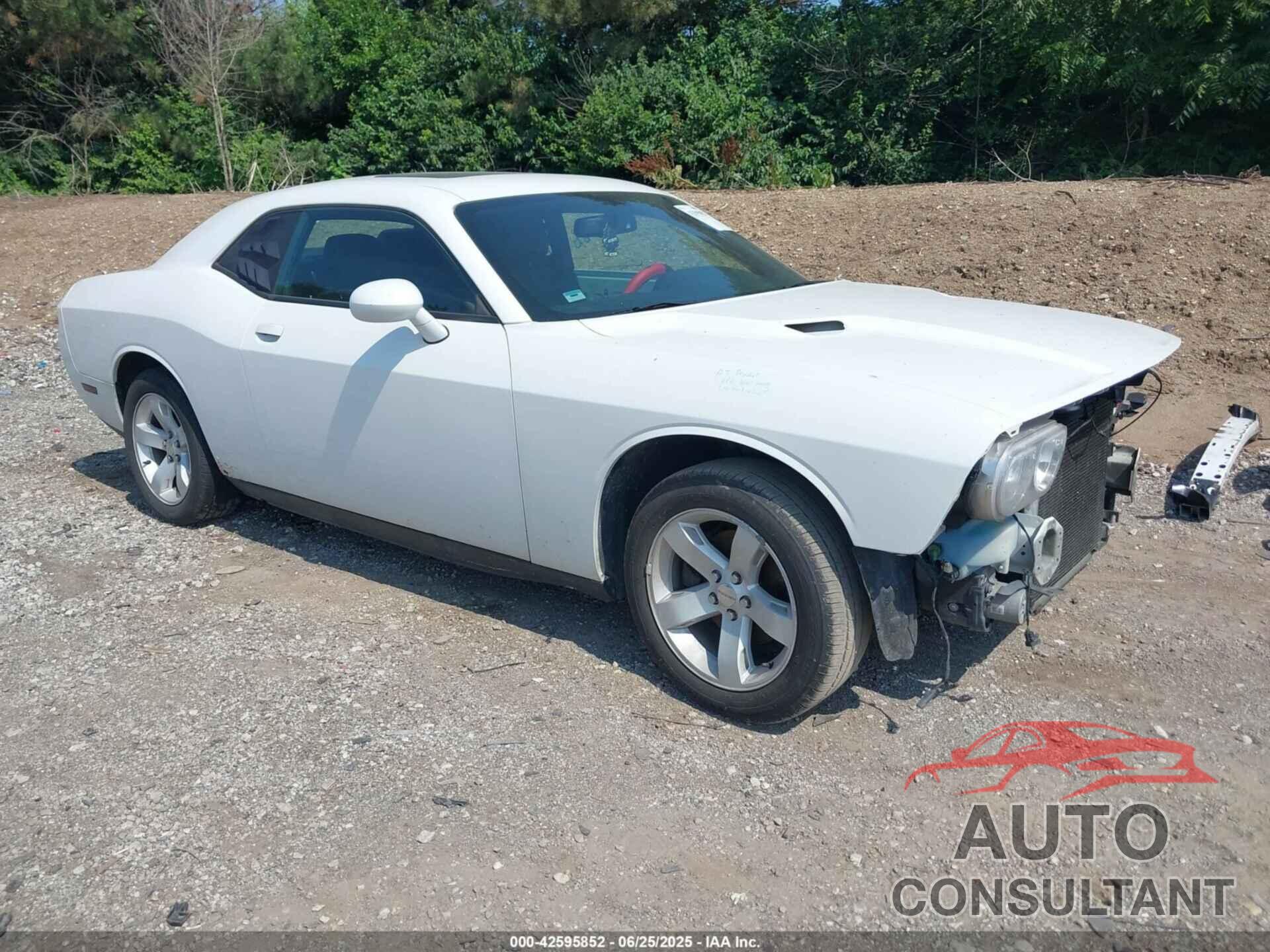 DODGE CHALLENGER 2013 - 2C3CDYAG7DH695398