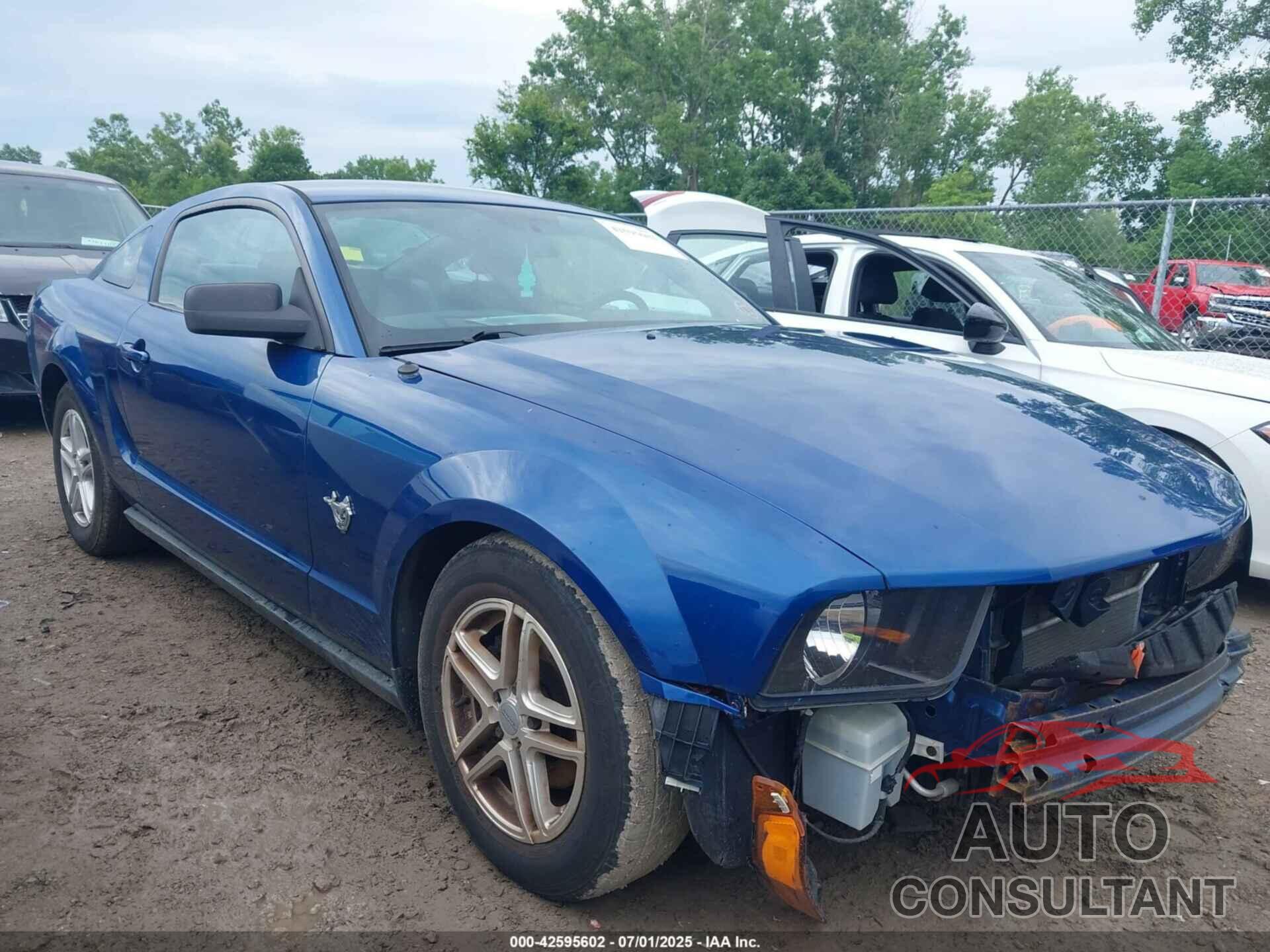 FORD MUSTANG 2009 - 1ZVHT80N795142637