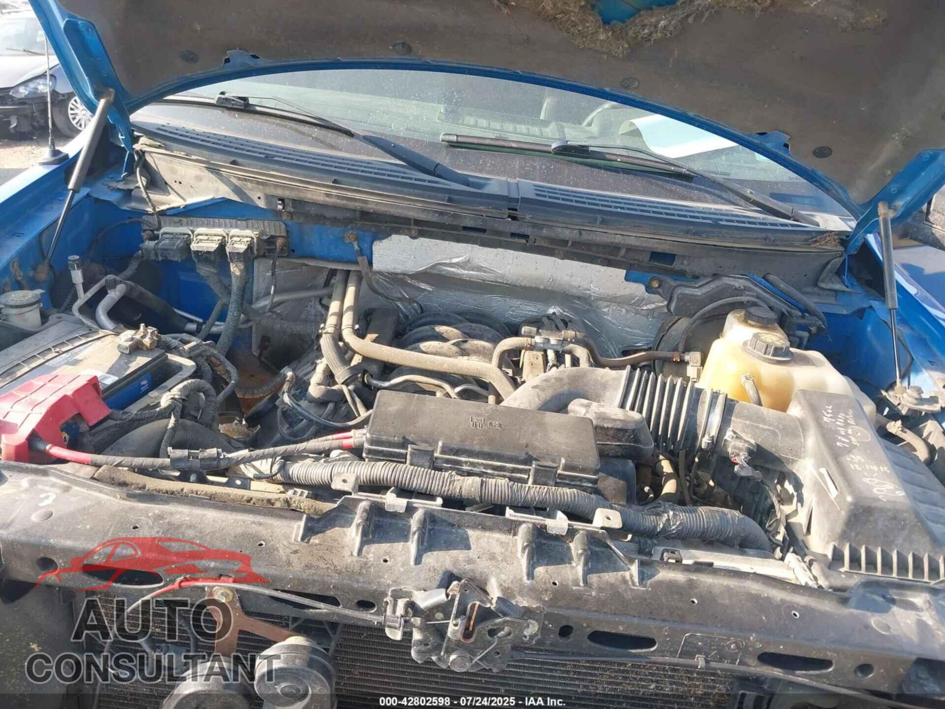 FORD F-150 2013 - 1FTFX1EF2DFA97858