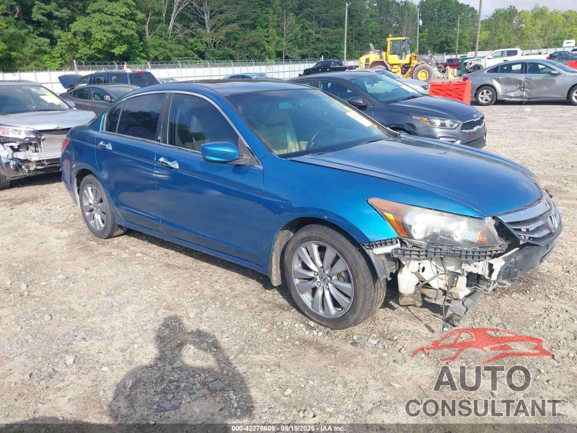HONDA ACCORD 2011 - 5KBCP3F84BB001262
