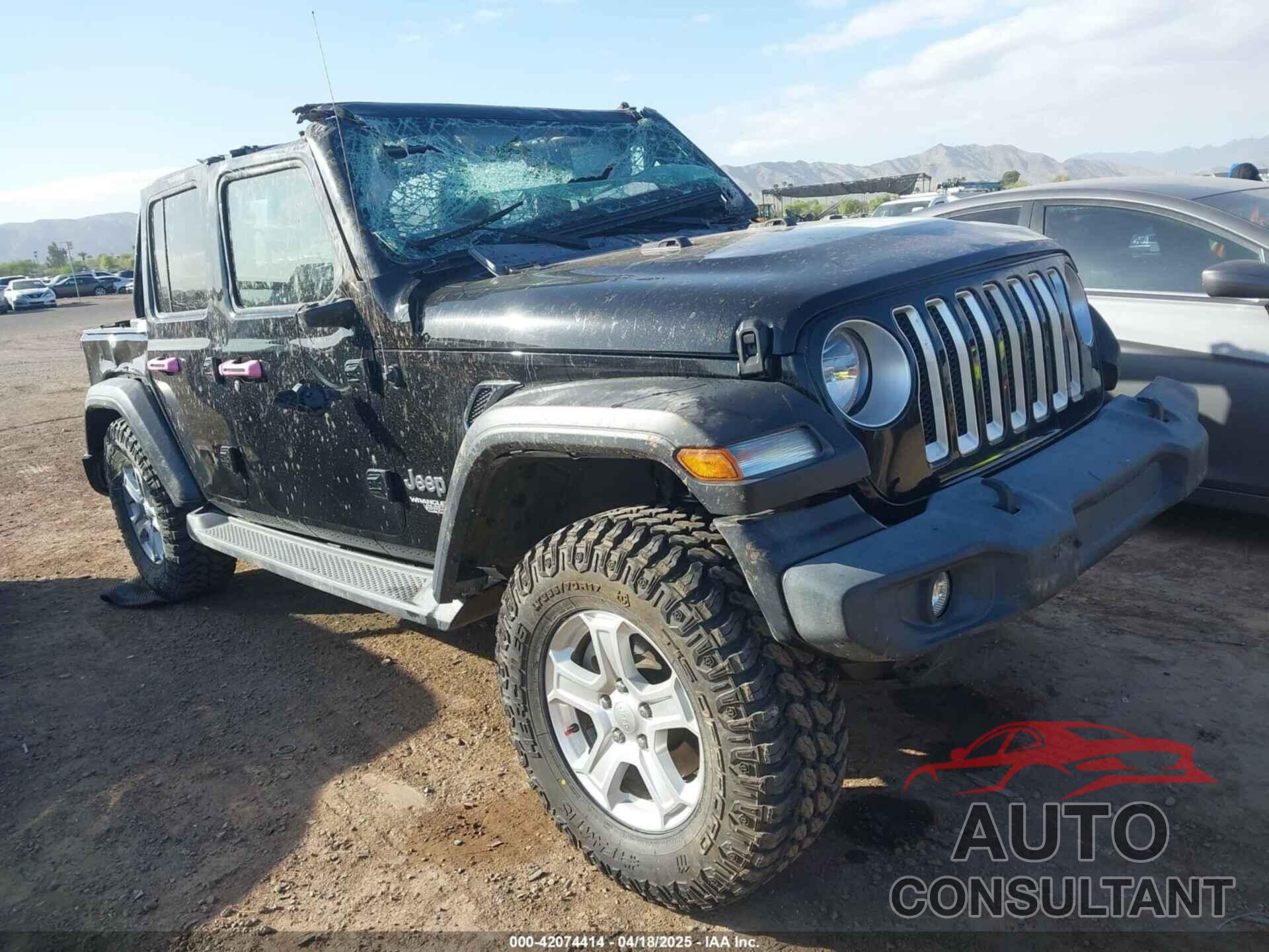 JEEP WRANGLER UNLIMITED 2019 - 1C4HJXDGXKW638885