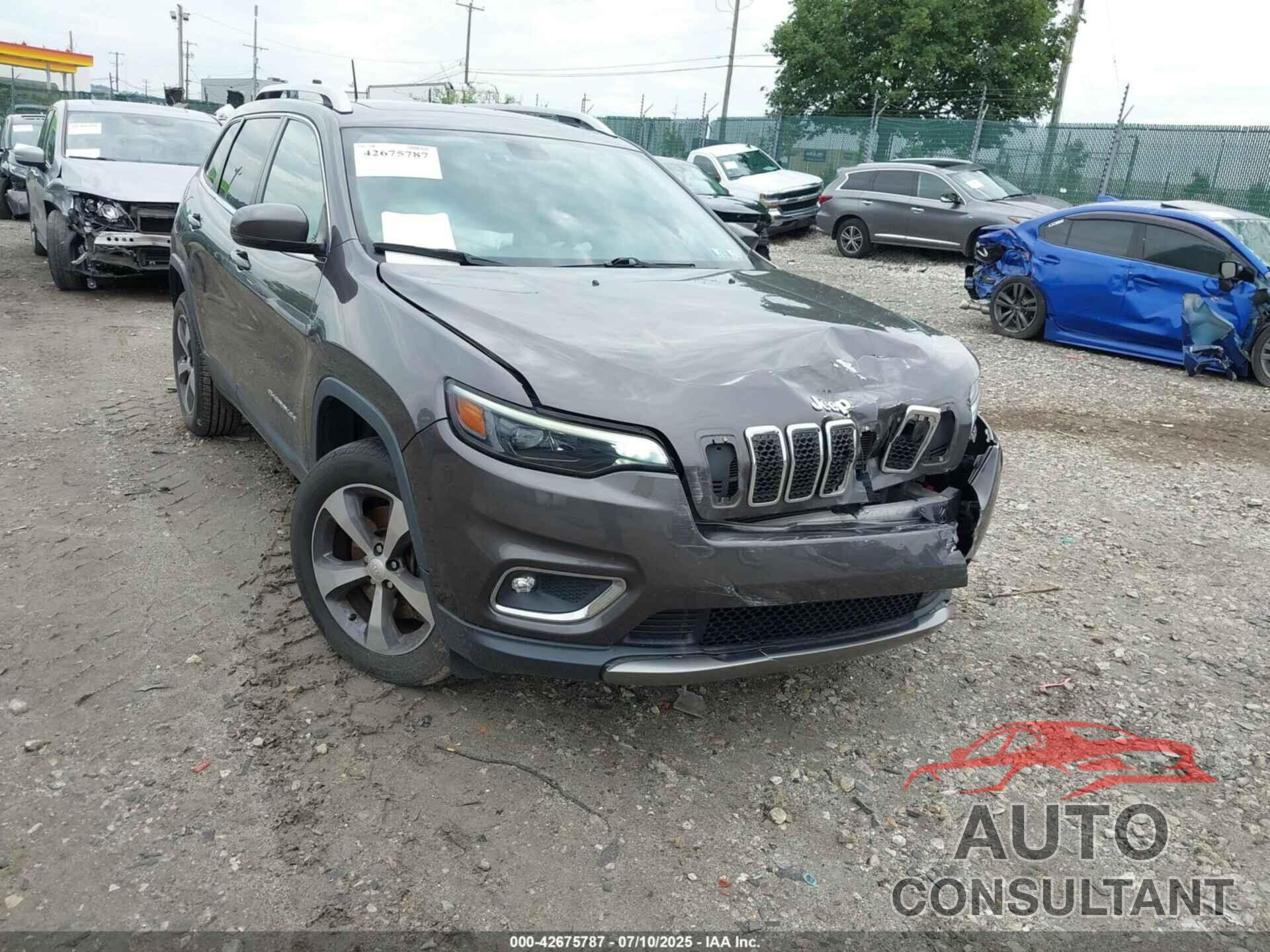 JEEP CHEROKEE 2019 - 1C4PJMDN2KD150762