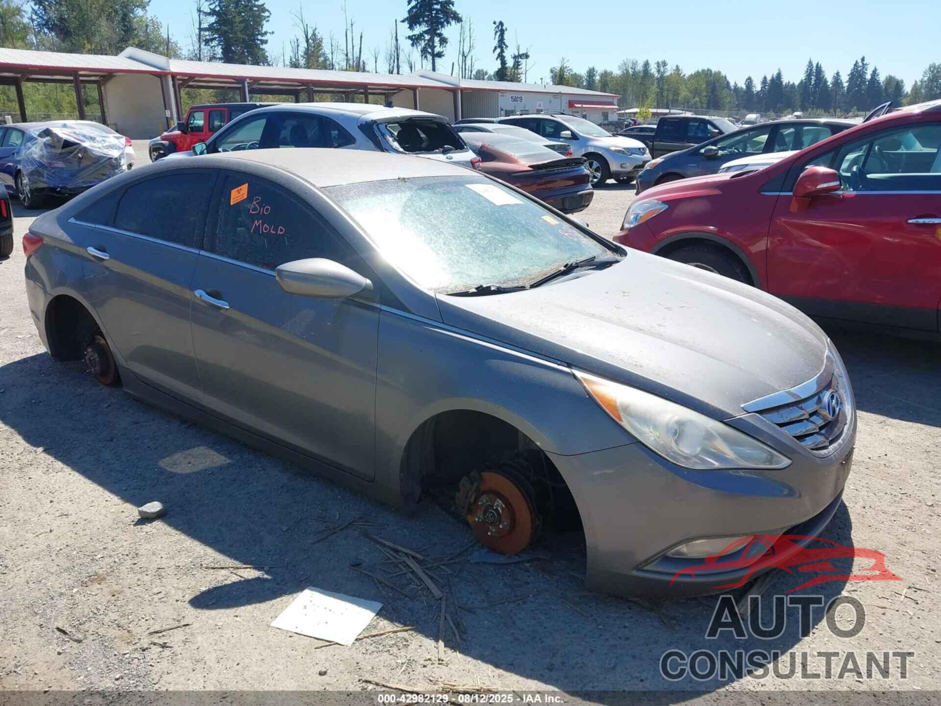 HYUNDAI SONATA 2013 - 5NPEC4AC8DH774972