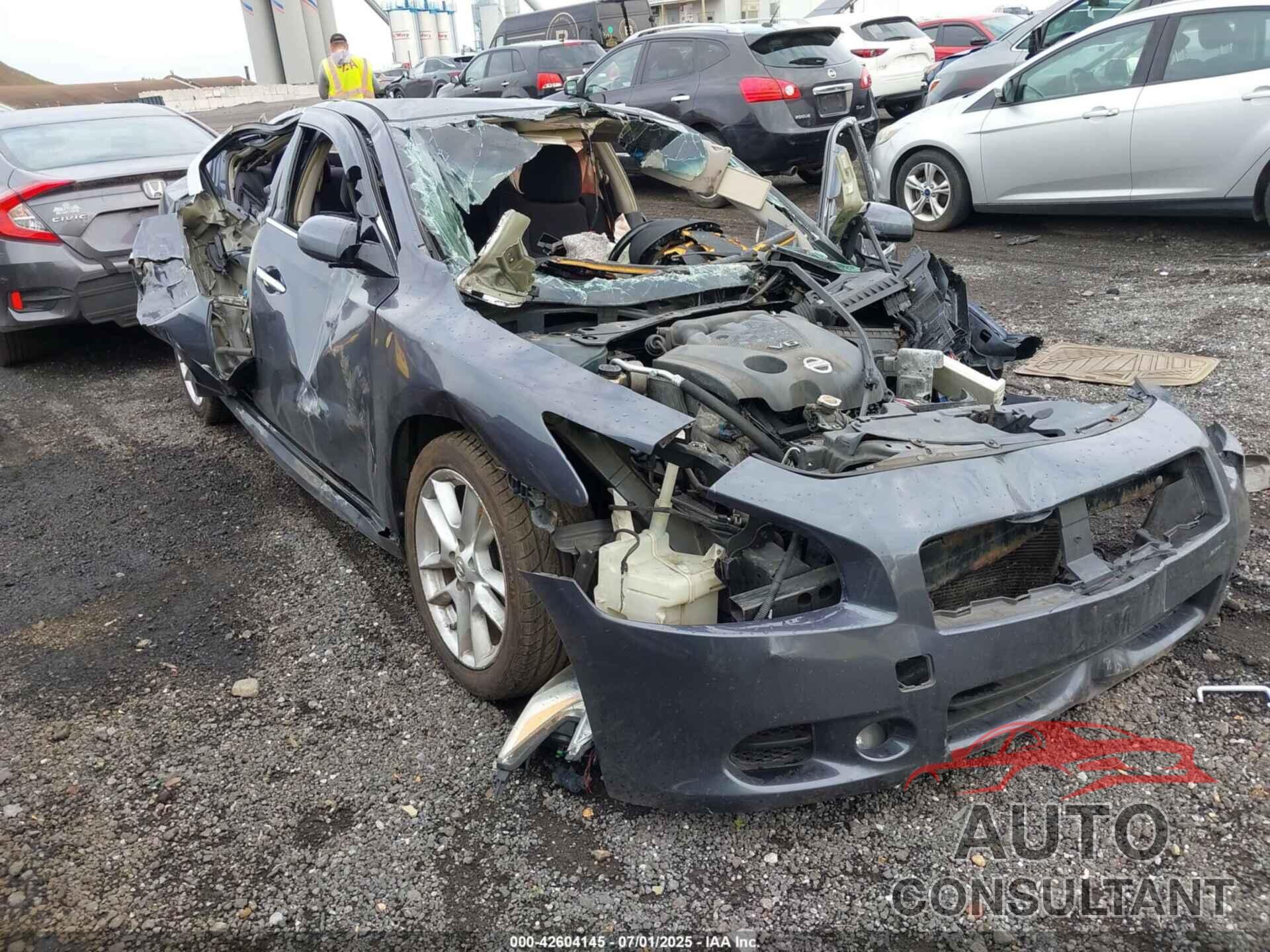 NISSAN MAXIMA 2009 - 1N4AA51E09C835445