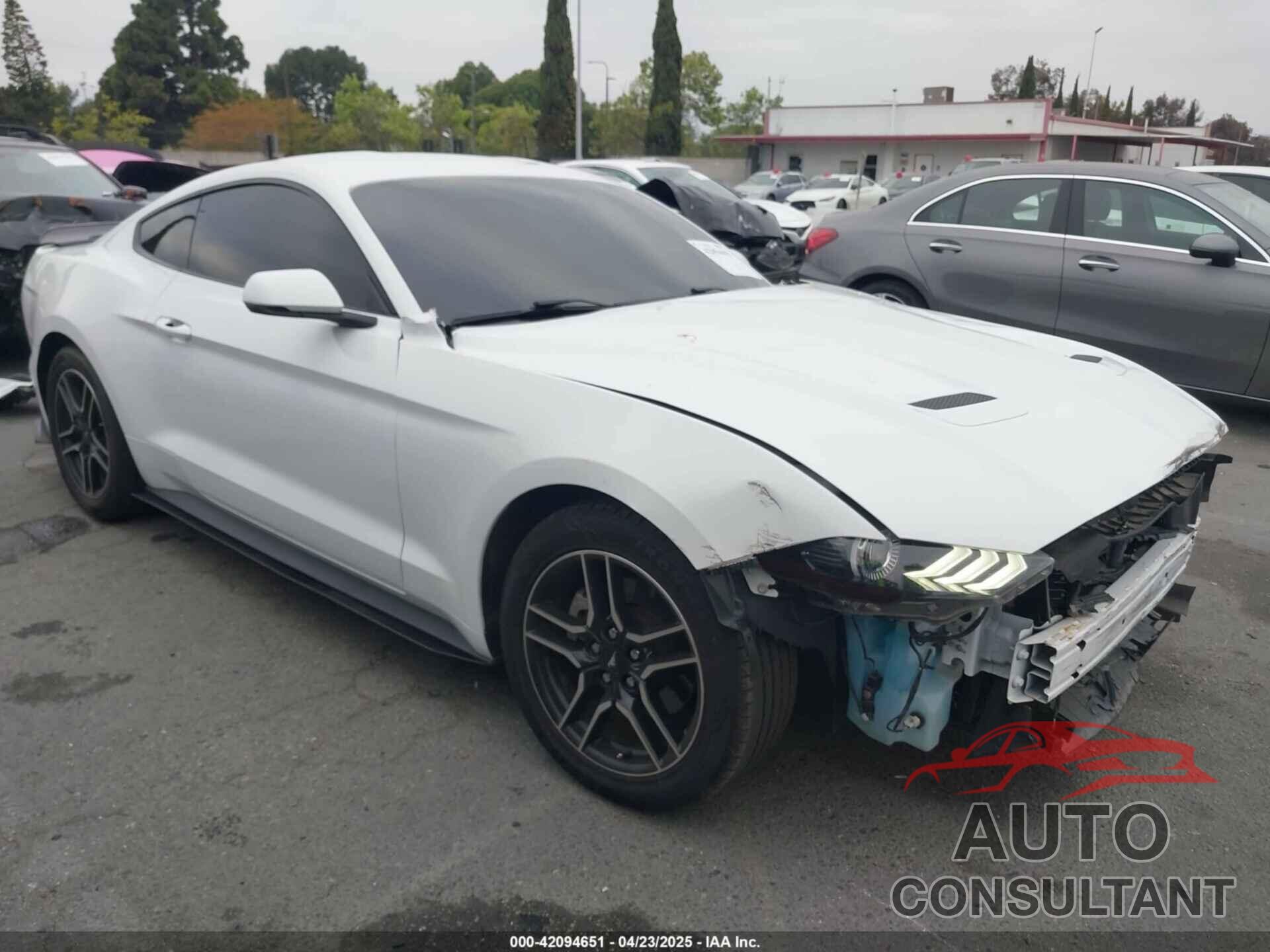 FORD MUSTANG 2019 - 1FA6P8TH6K5176777
