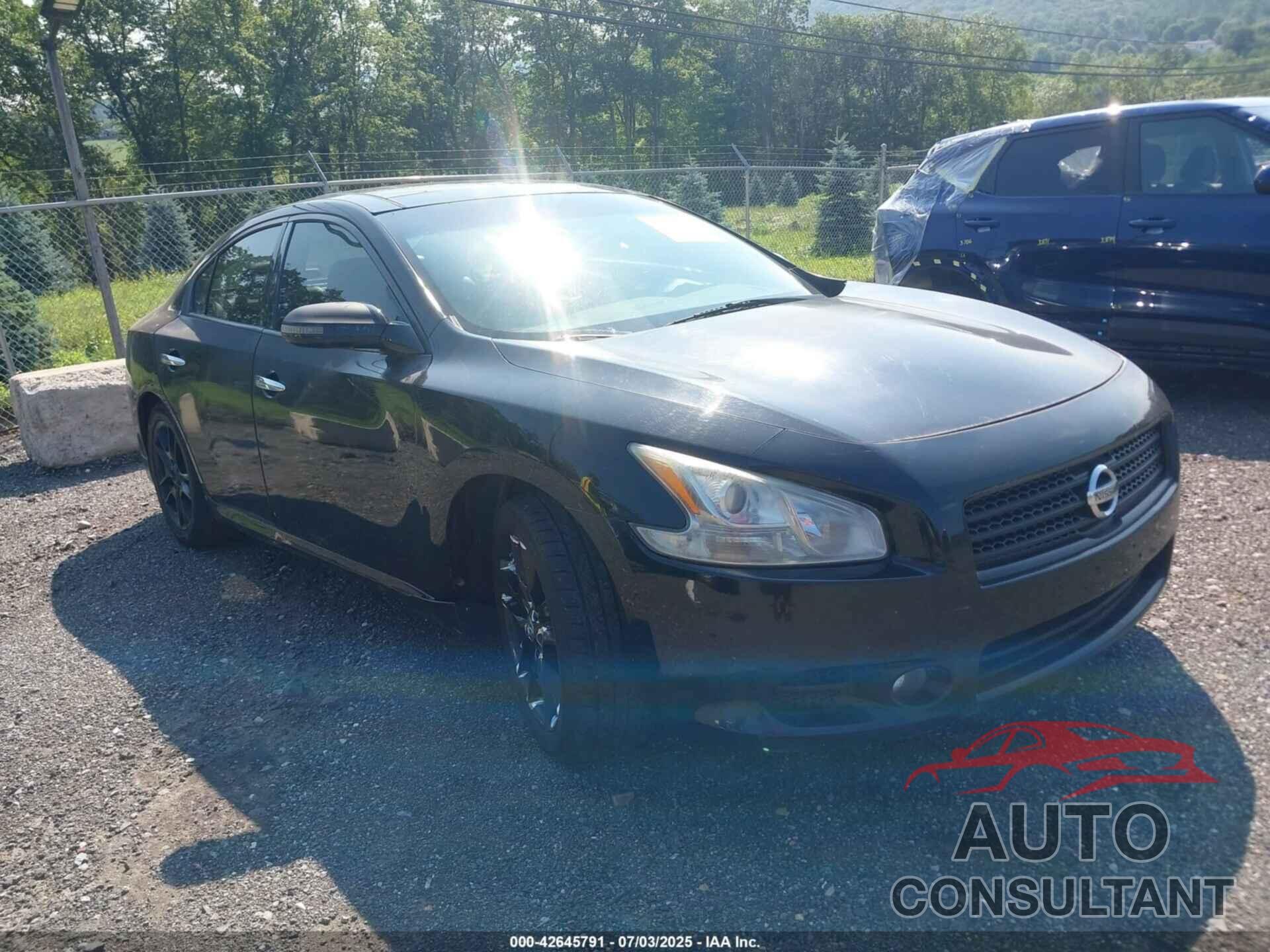 NISSAN MAXIMA 2010 - 1N4AA5APXAC815628