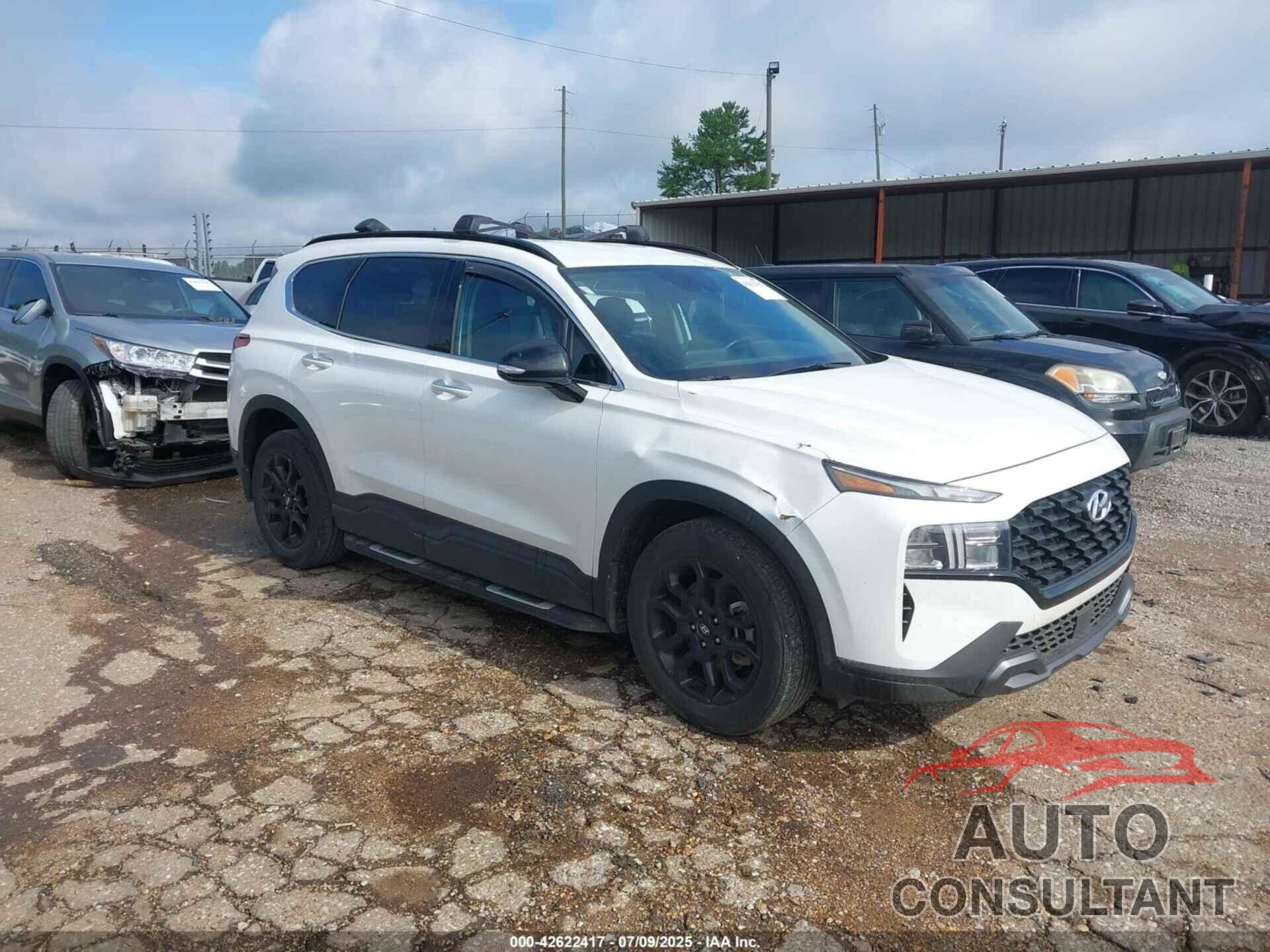 HYUNDAI SANTA FE 2023 - 5NMS64AJ8PH533827