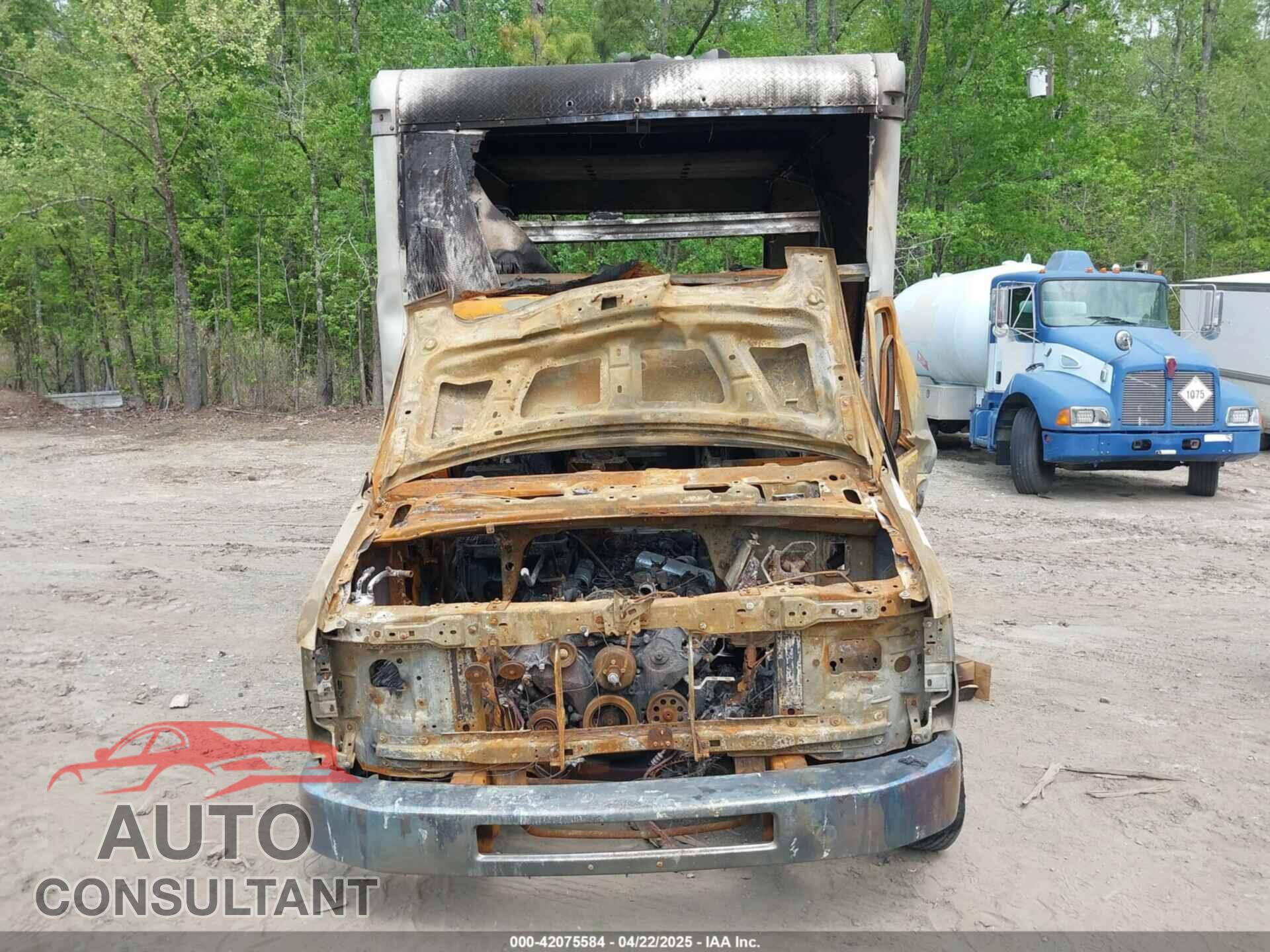 FORD E-450 CUTAWAY 2017 - 1FDXE4FS5HDC40256